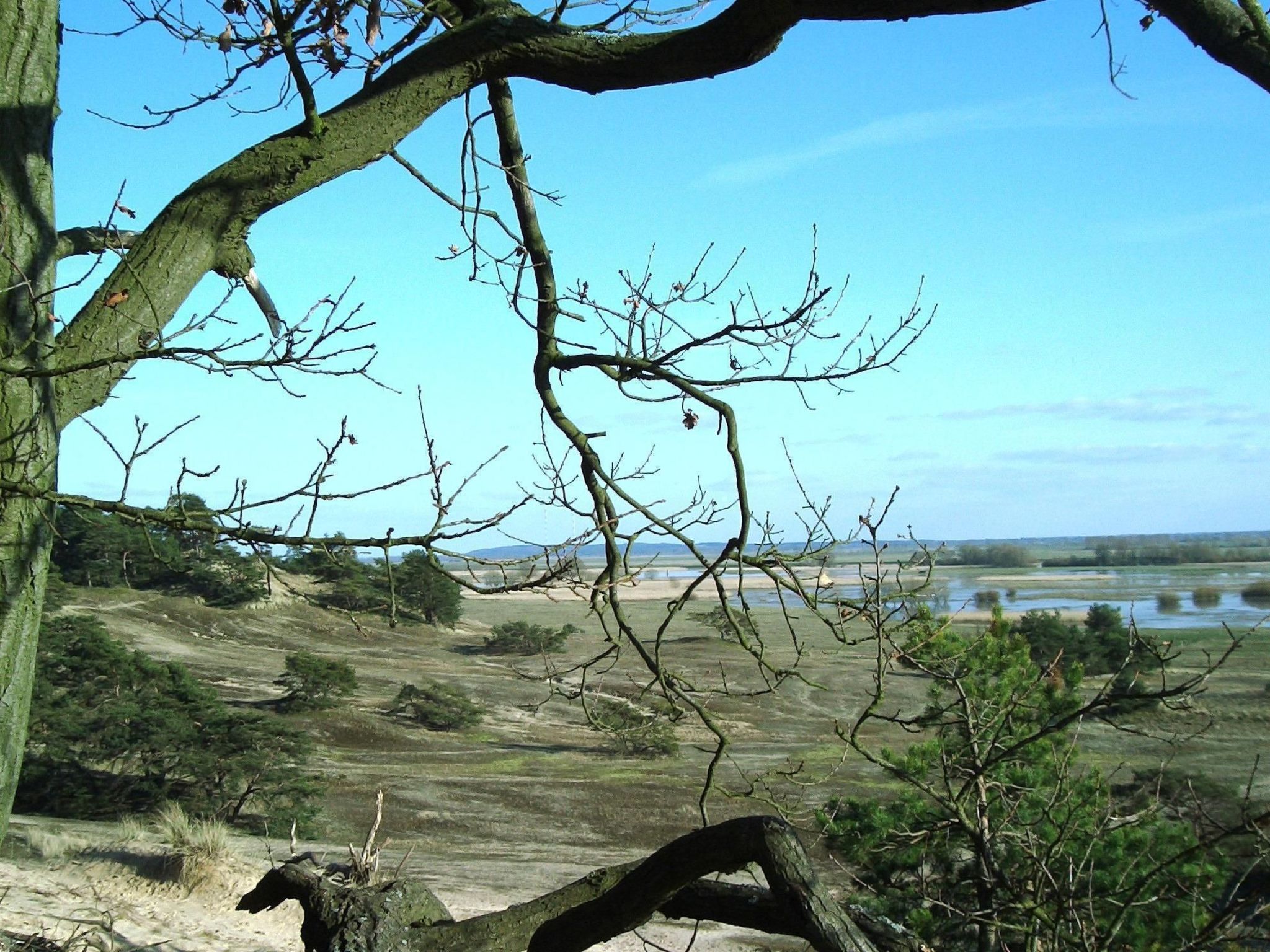 Zwei-Zimmer-Wohnung mit Wintergarten-Image-tags.info