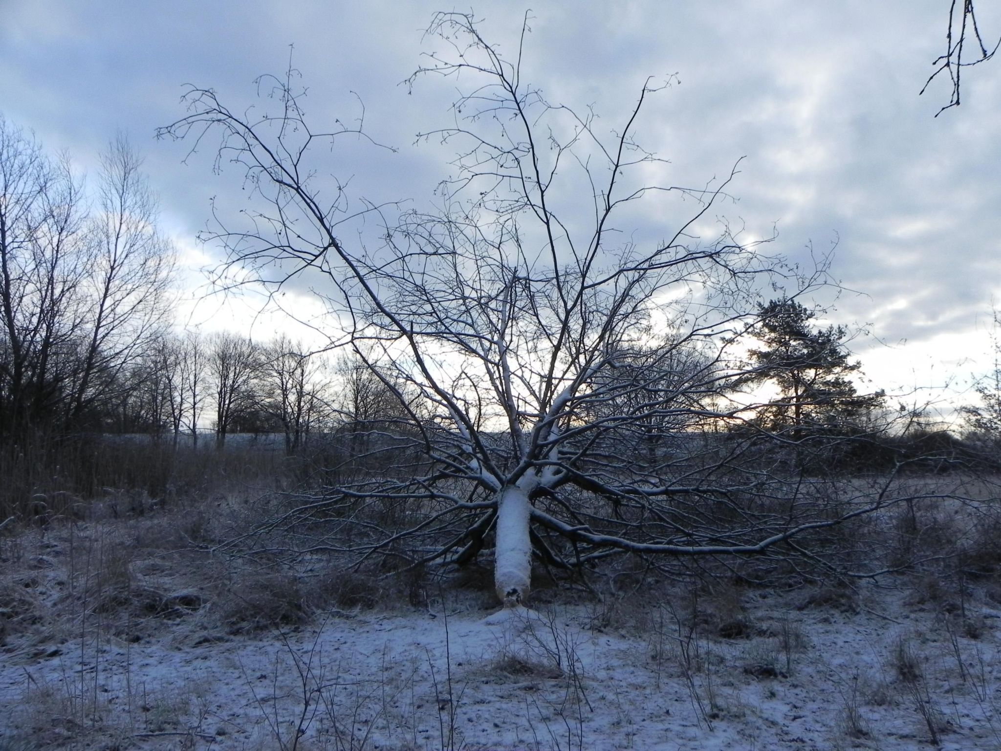 Zwei-Zimmer-Wohnung mit Wintergarten-Image-tags.info