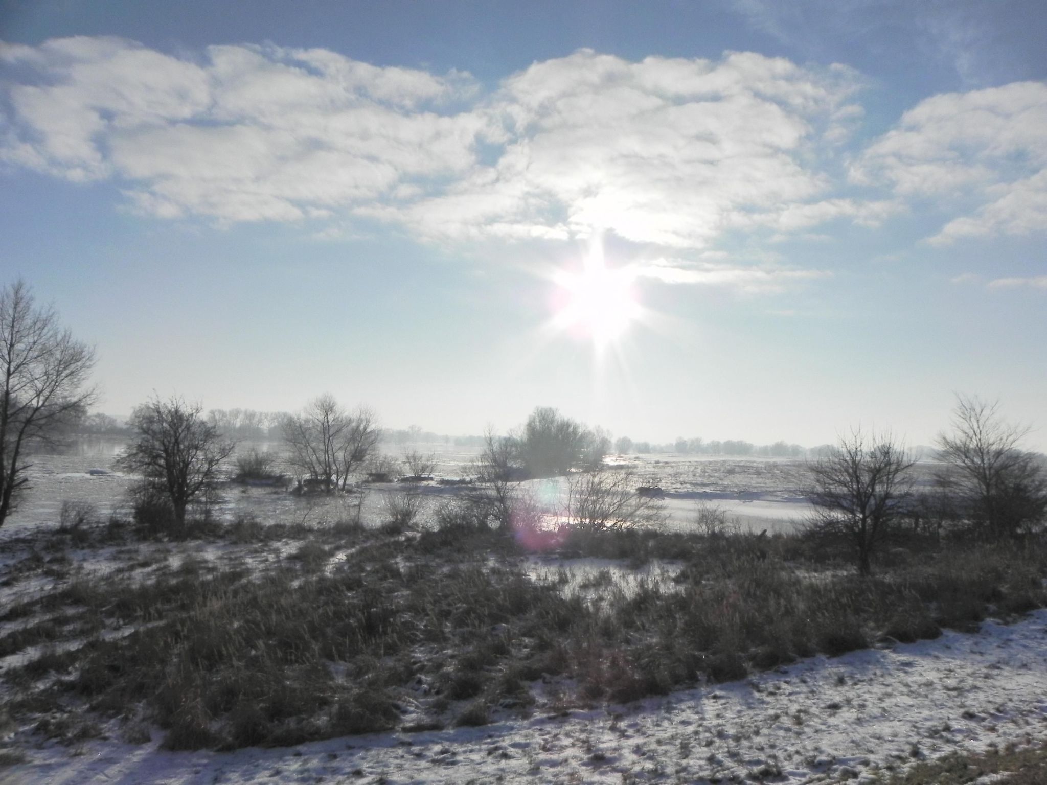 Zwei-Zimmer-Wohnung mit Wintergarten-Image-tags.info