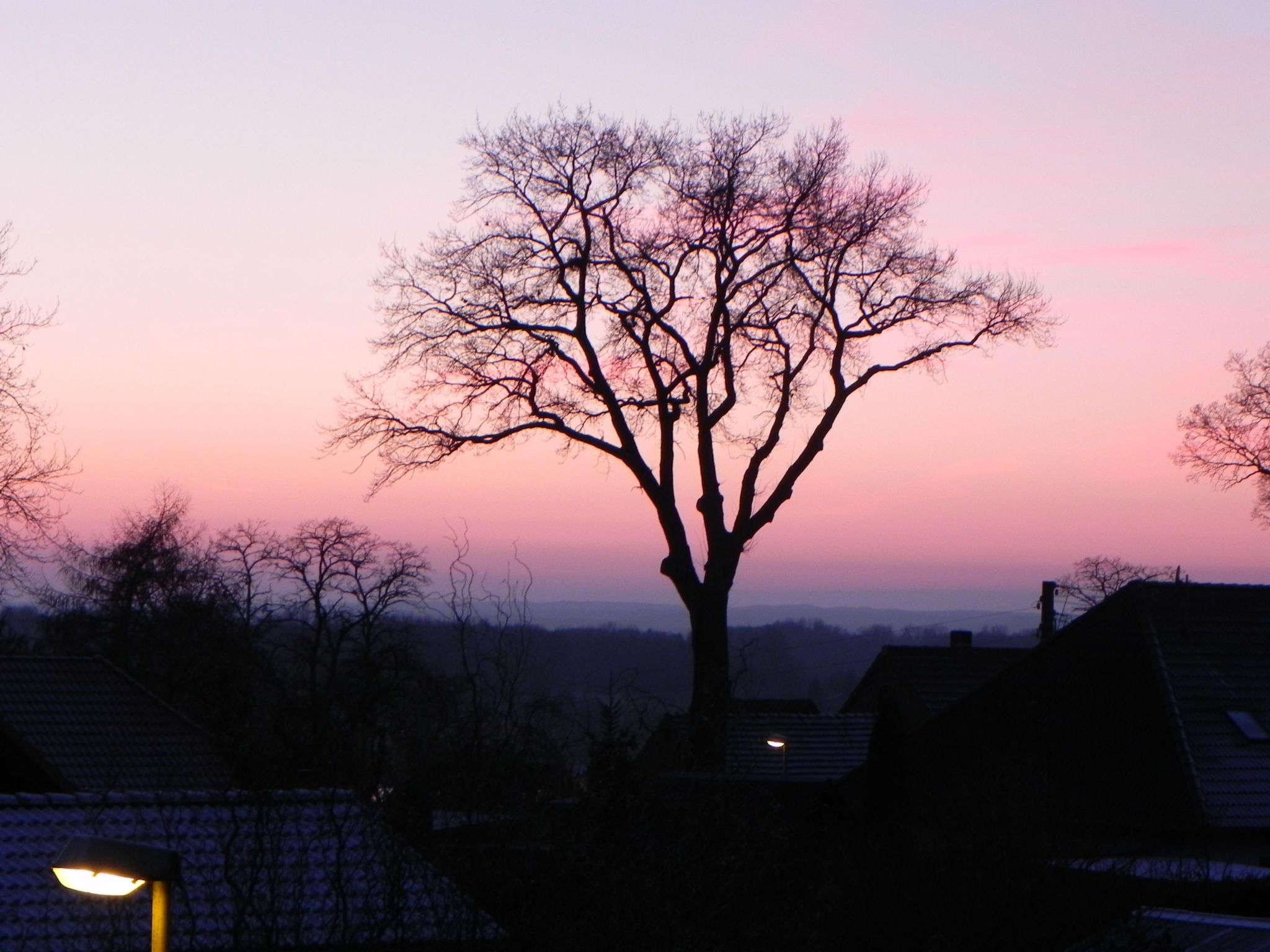 Zwei-Zimmer-Wohnung mit Wintergarten-Image-tags.info