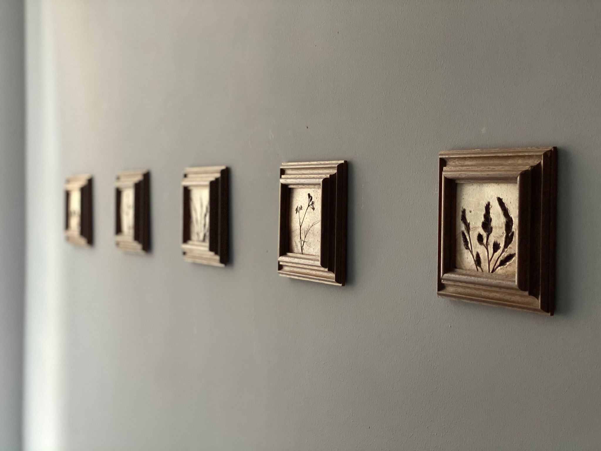 Gemütliche Wohnung in Hameln mit Garten-Image-tags.info