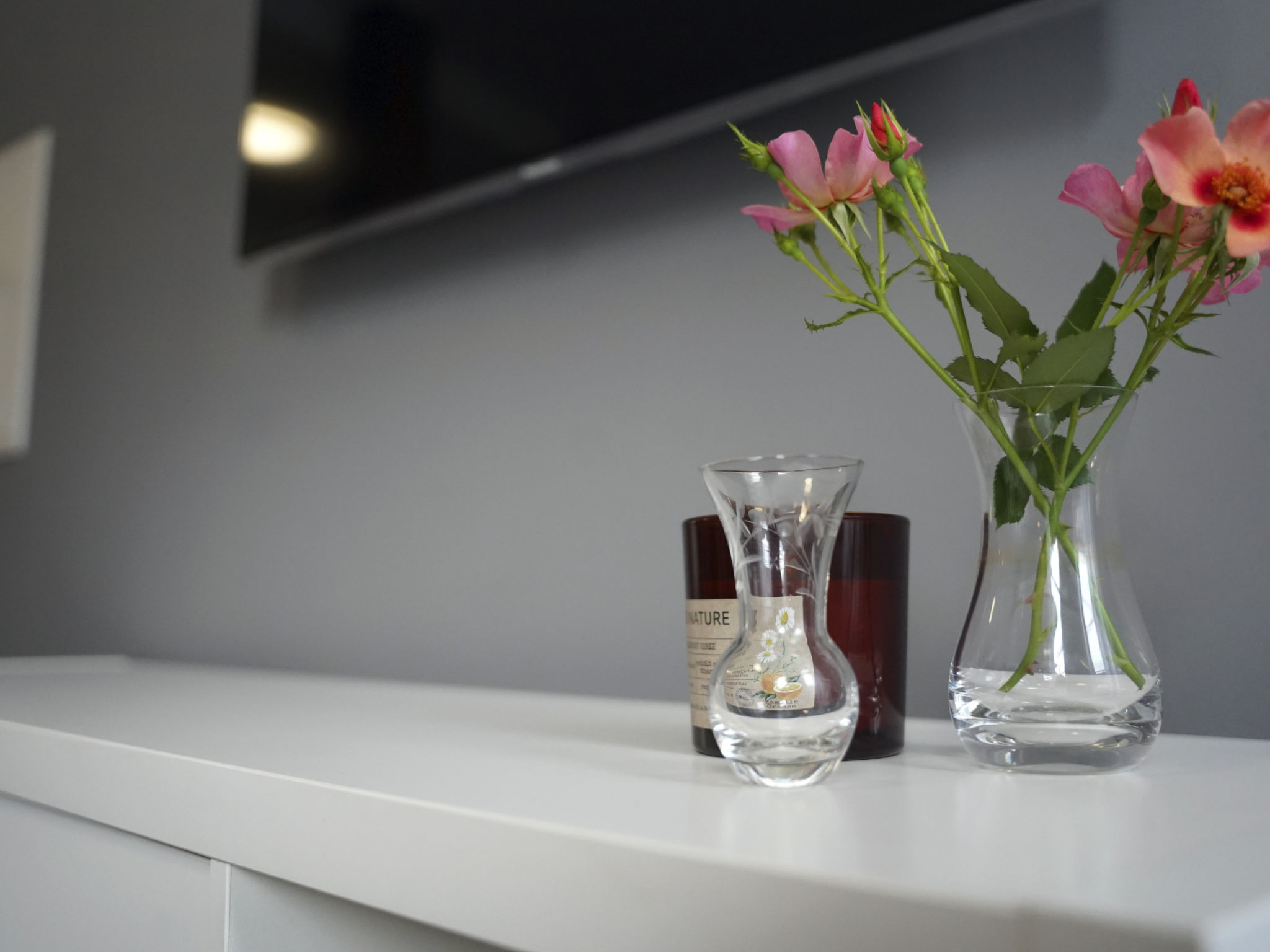 Wohnung in Hameln mit Garten-Image-tags.info