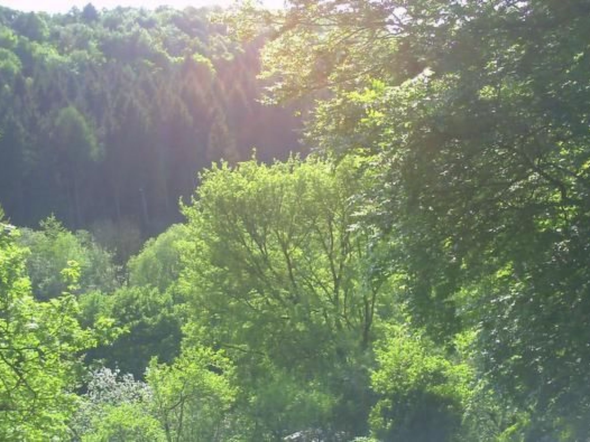 Haus Wilhelmstal mit eigener Wellness Oase-Image-tags.info