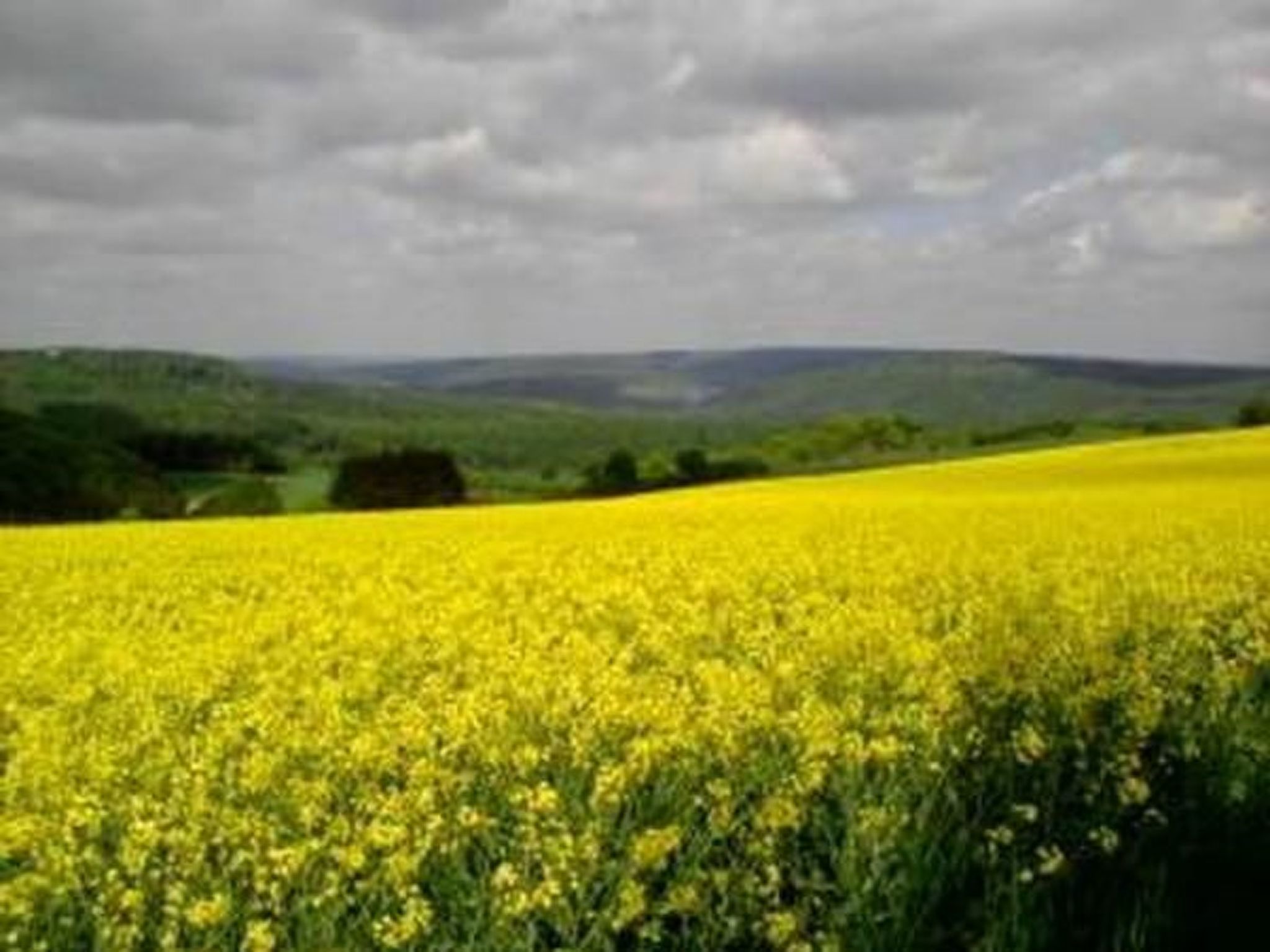 Haus Wilhelmstal mit eigener Wellness Oase-Image-tags.info