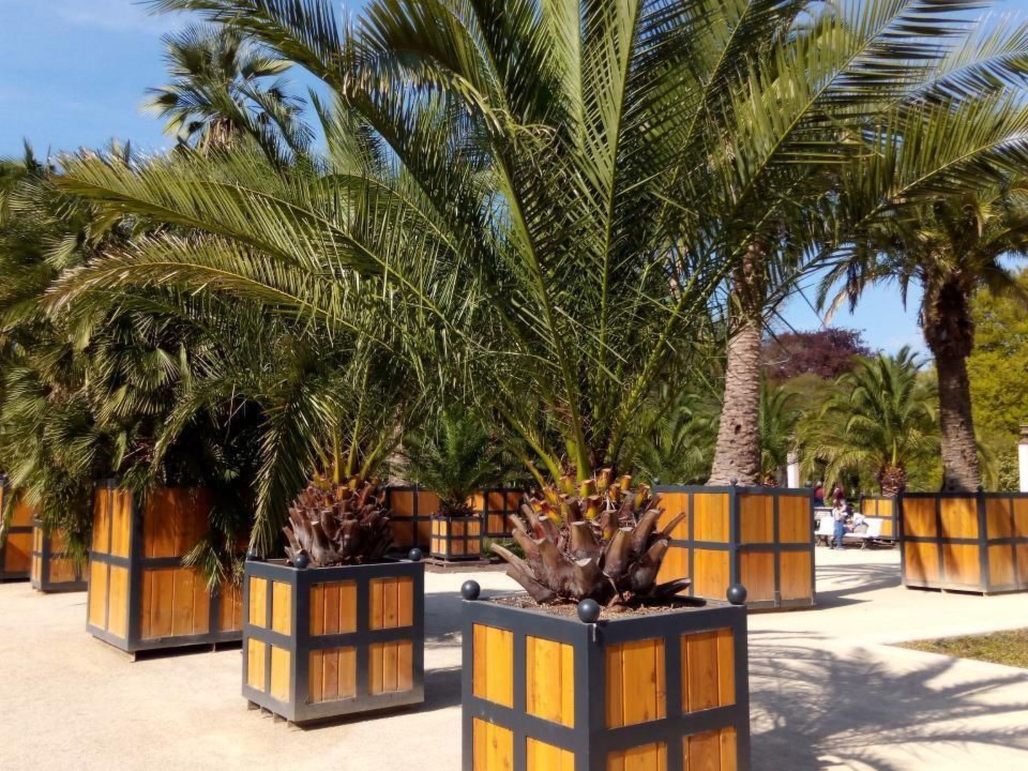 Haus Wilhelmstal mit eigener Wellness Oase-Image-tags.info