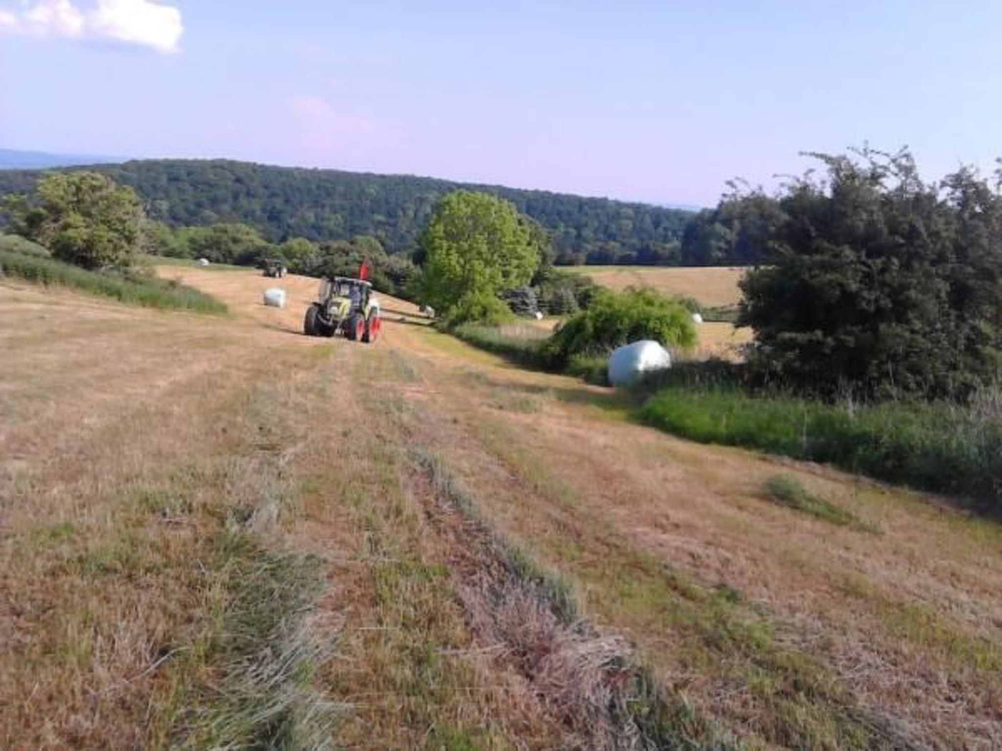 Haus Wilhelmstal mit eigener Wellness Oase-Image-tags.info