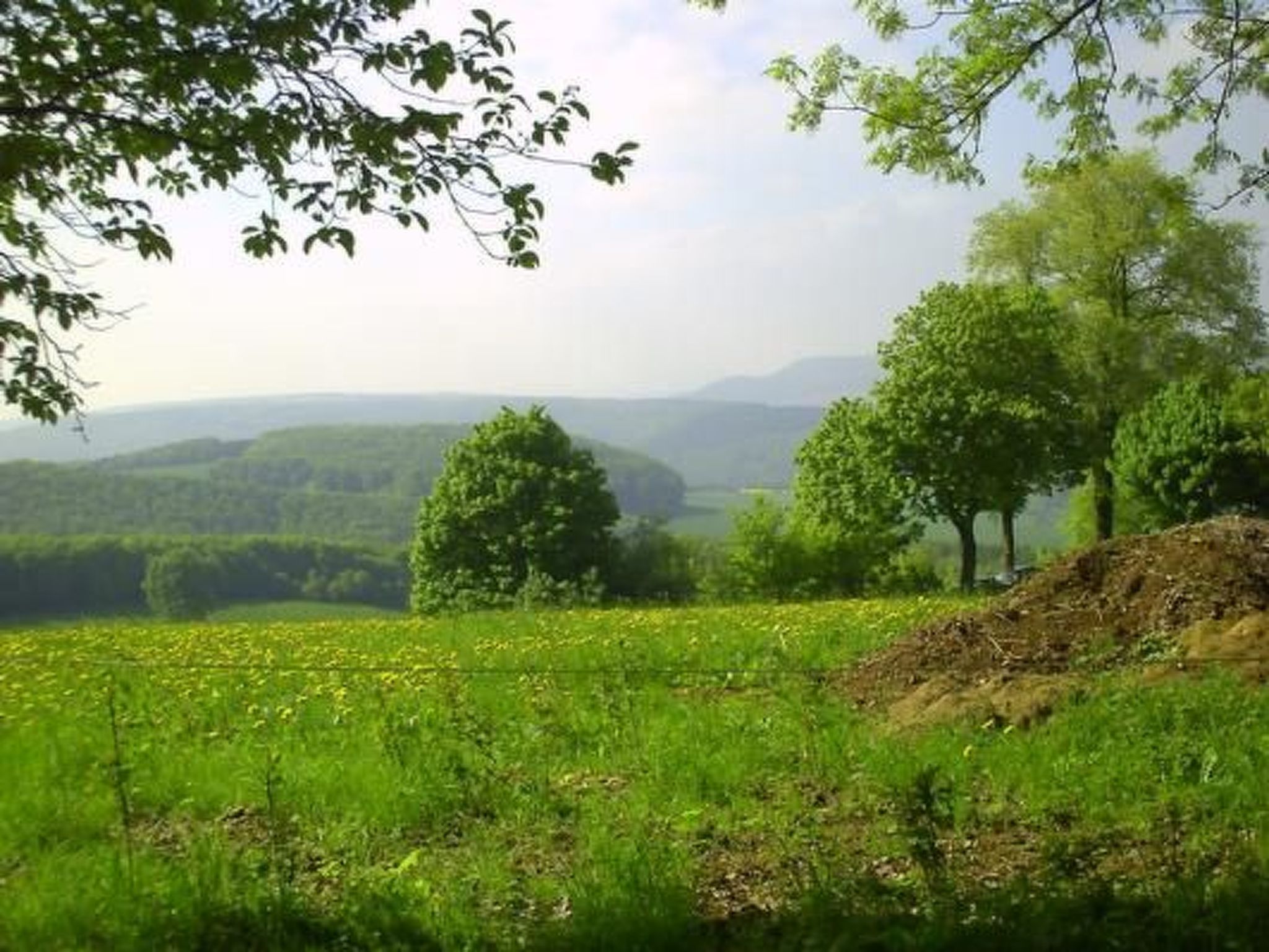 Haus Wilhelmstal mit eigener Wellness Oase-Image-tags.info