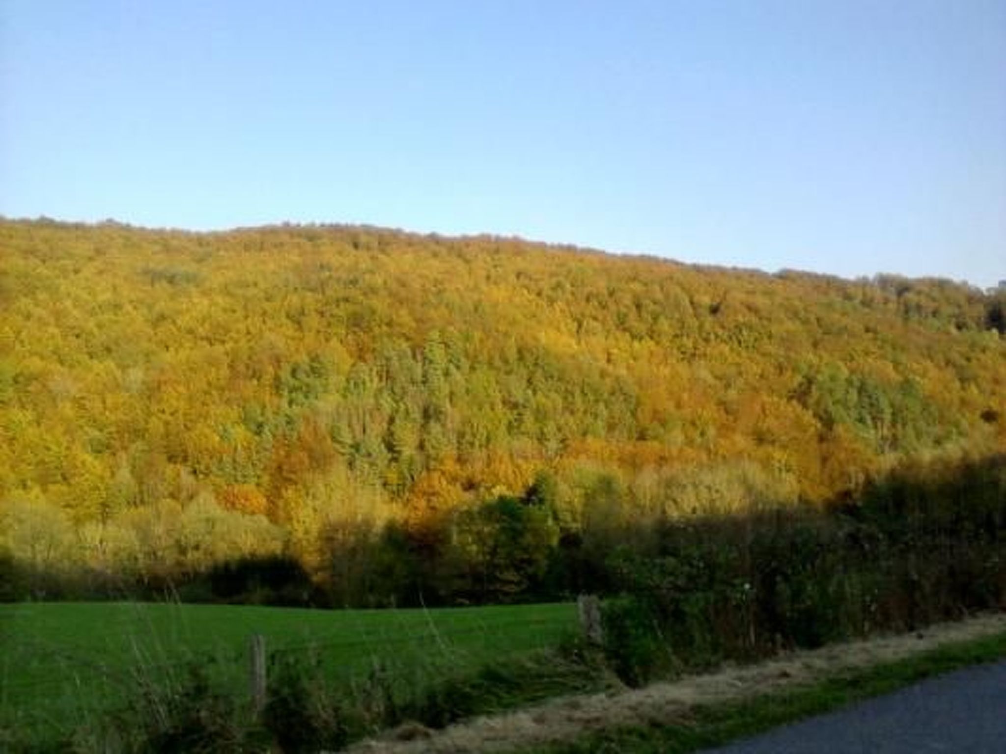 Haus Wilhelmstal mit eigener Wellness Oase-Image-tags.info