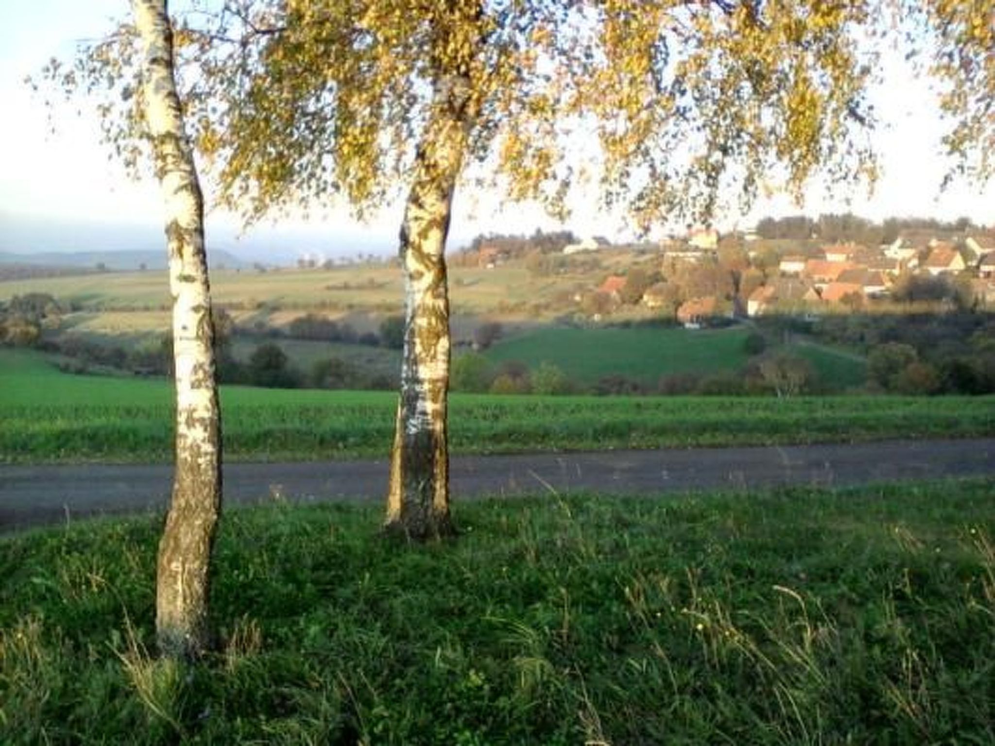 Haus Wilhelmstal mit eigener Wellness Oase-Image-tags.info