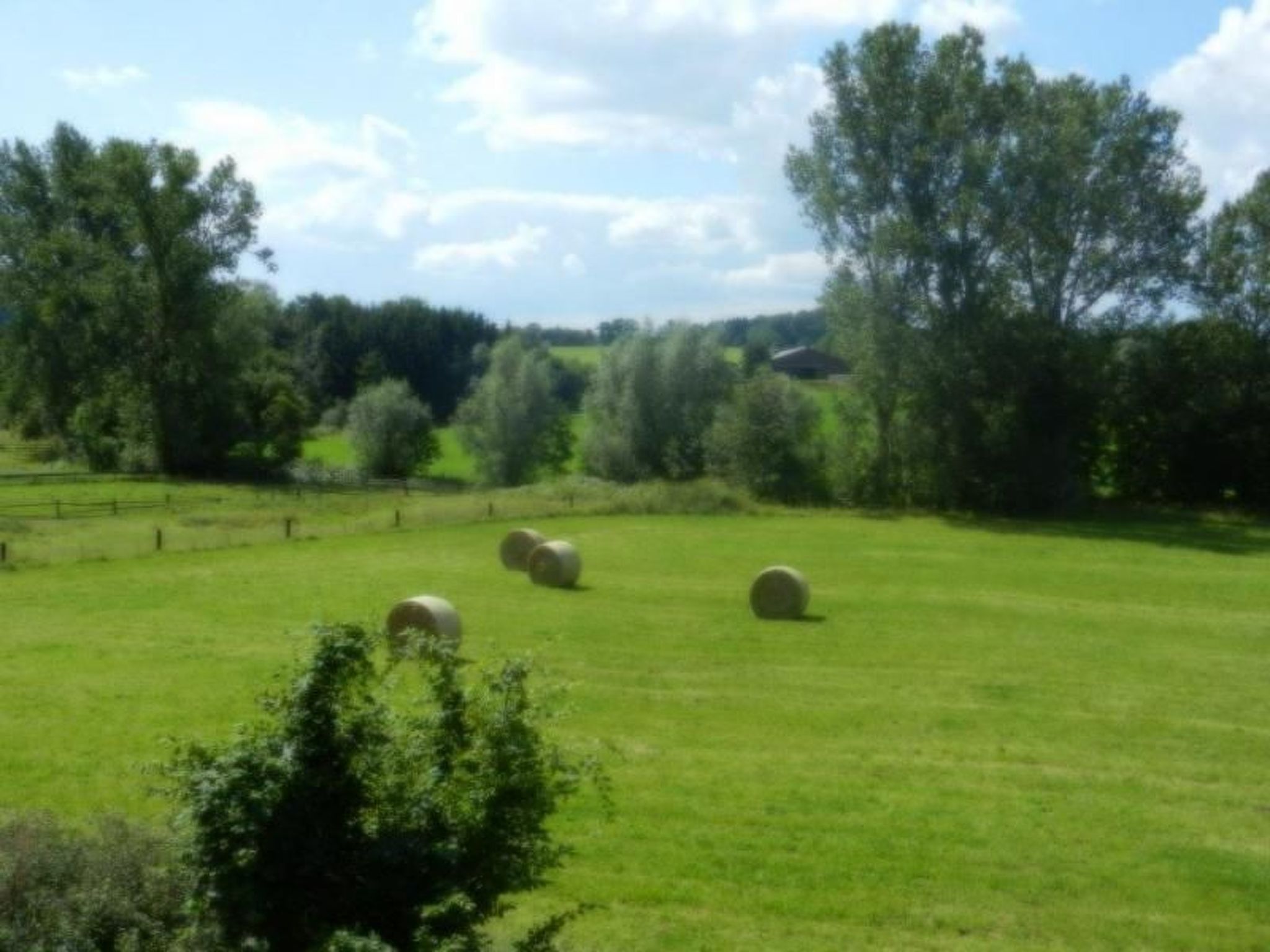 Im Teutoburger Wald-Binnen