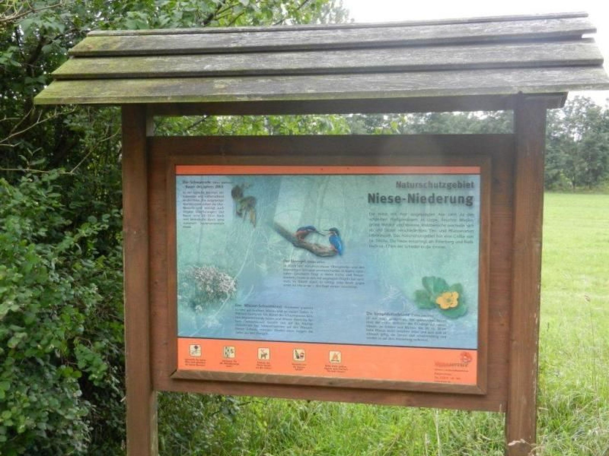 Im Teutoburger Wald-Binnen