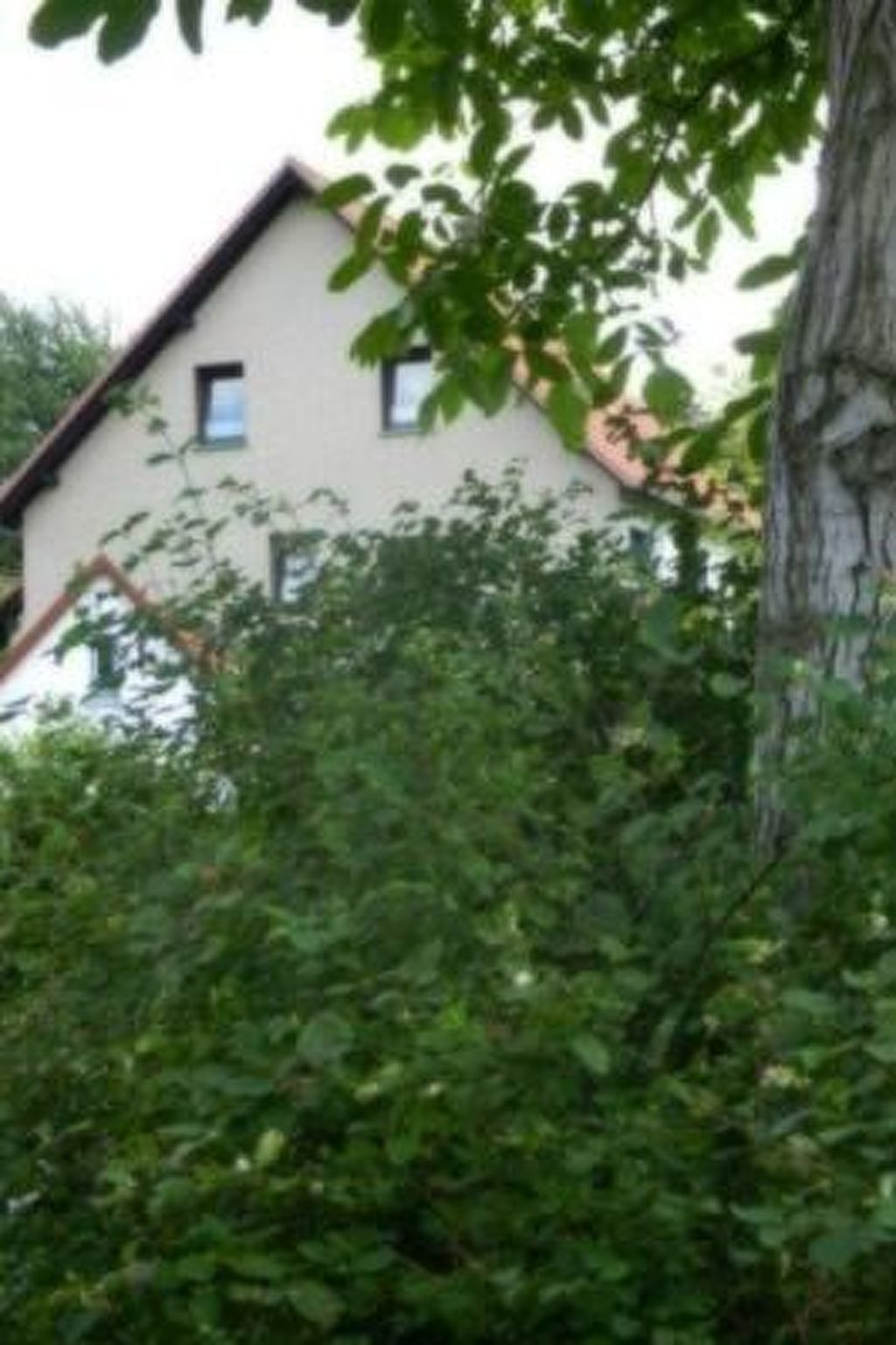 Preiser in Schieder-Schwalenberg-Inside