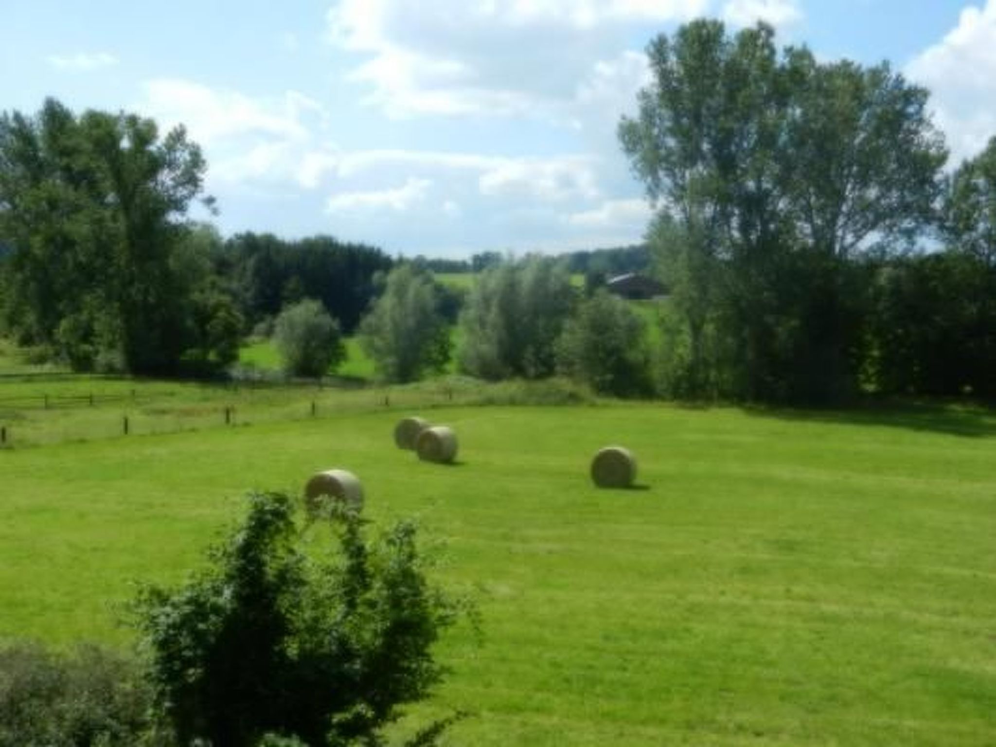 Preiser in Schieder-Schwalenberg-Inside