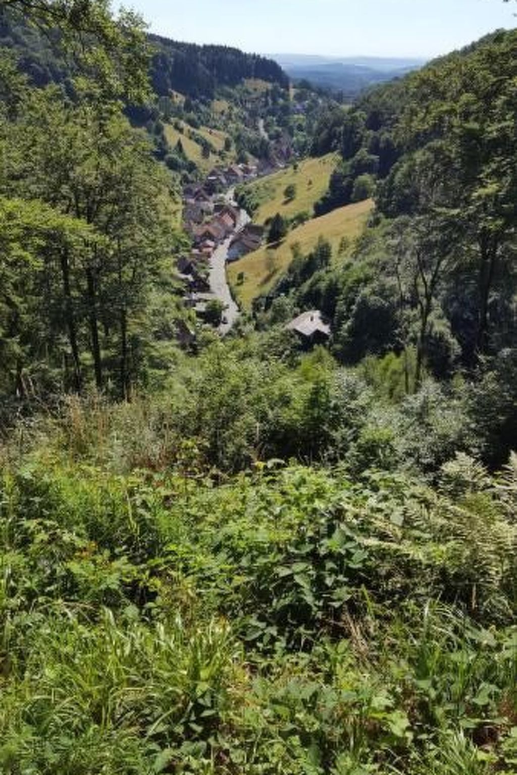 Gemütliche Wohnung in Lerbach mit Terrasse, Garten-Image-tags.info