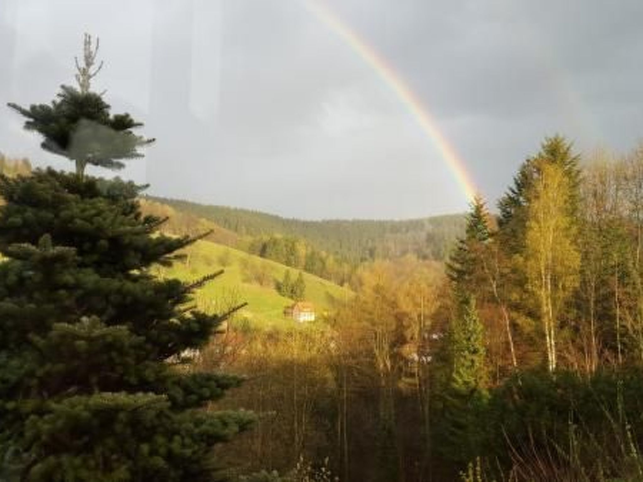 Gemütliche Wohnung in Lerbach mit Terrasse, Garten-Image-tags.info