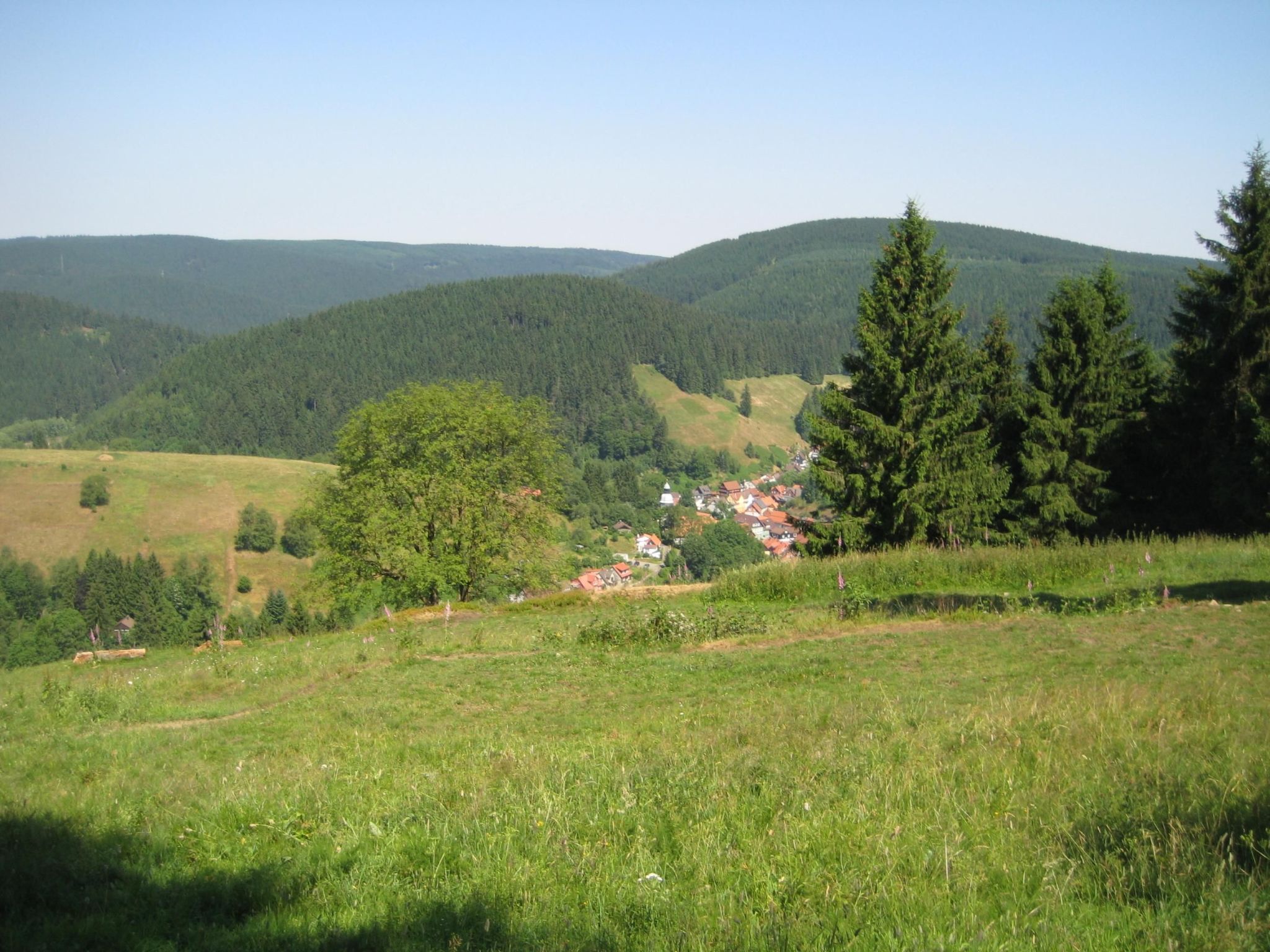 Einzigartiges Ferienhaus in Wildemann-Binnen