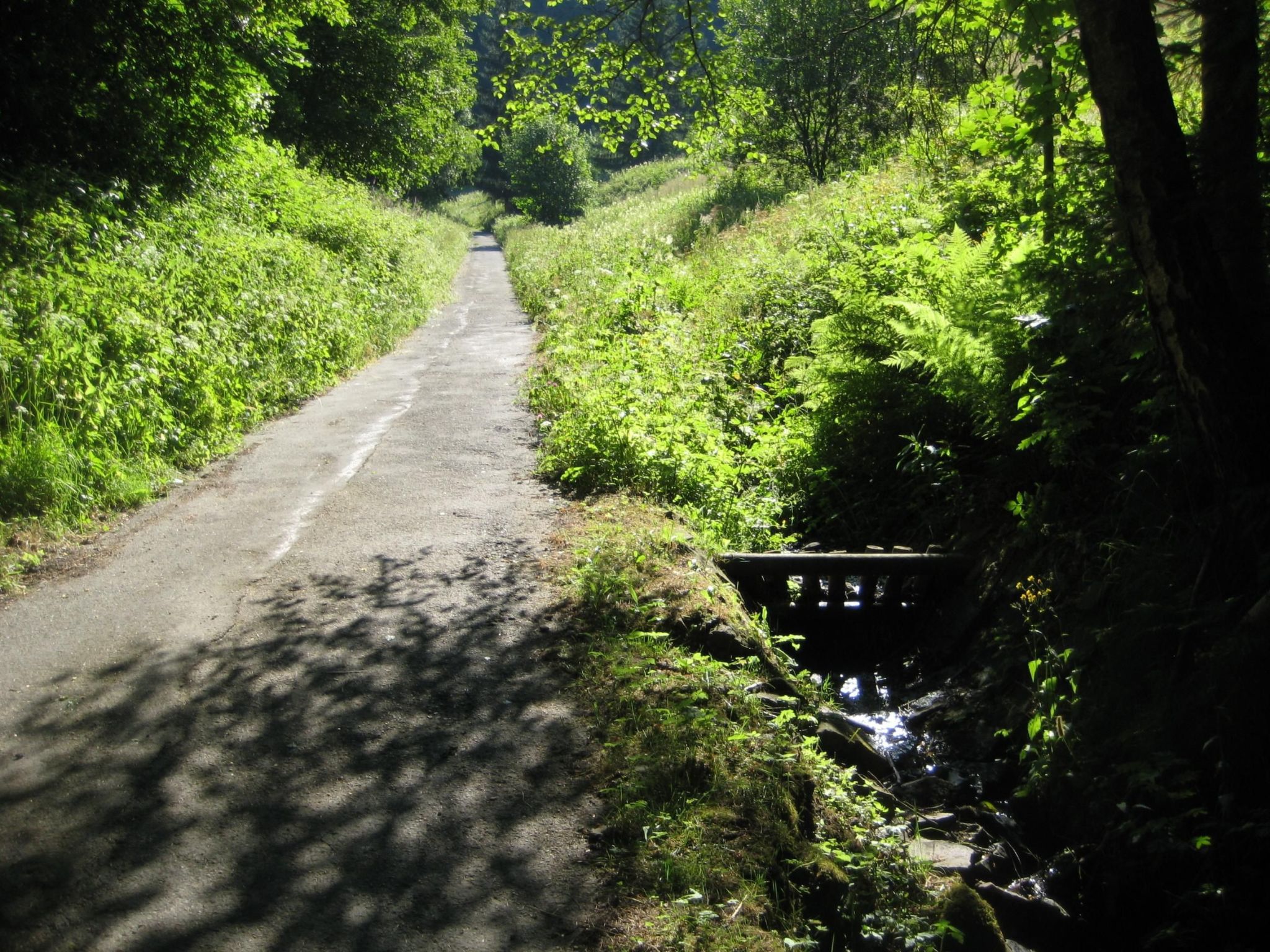 Bürgermeisterwohnung AltesRathaus-Dedans