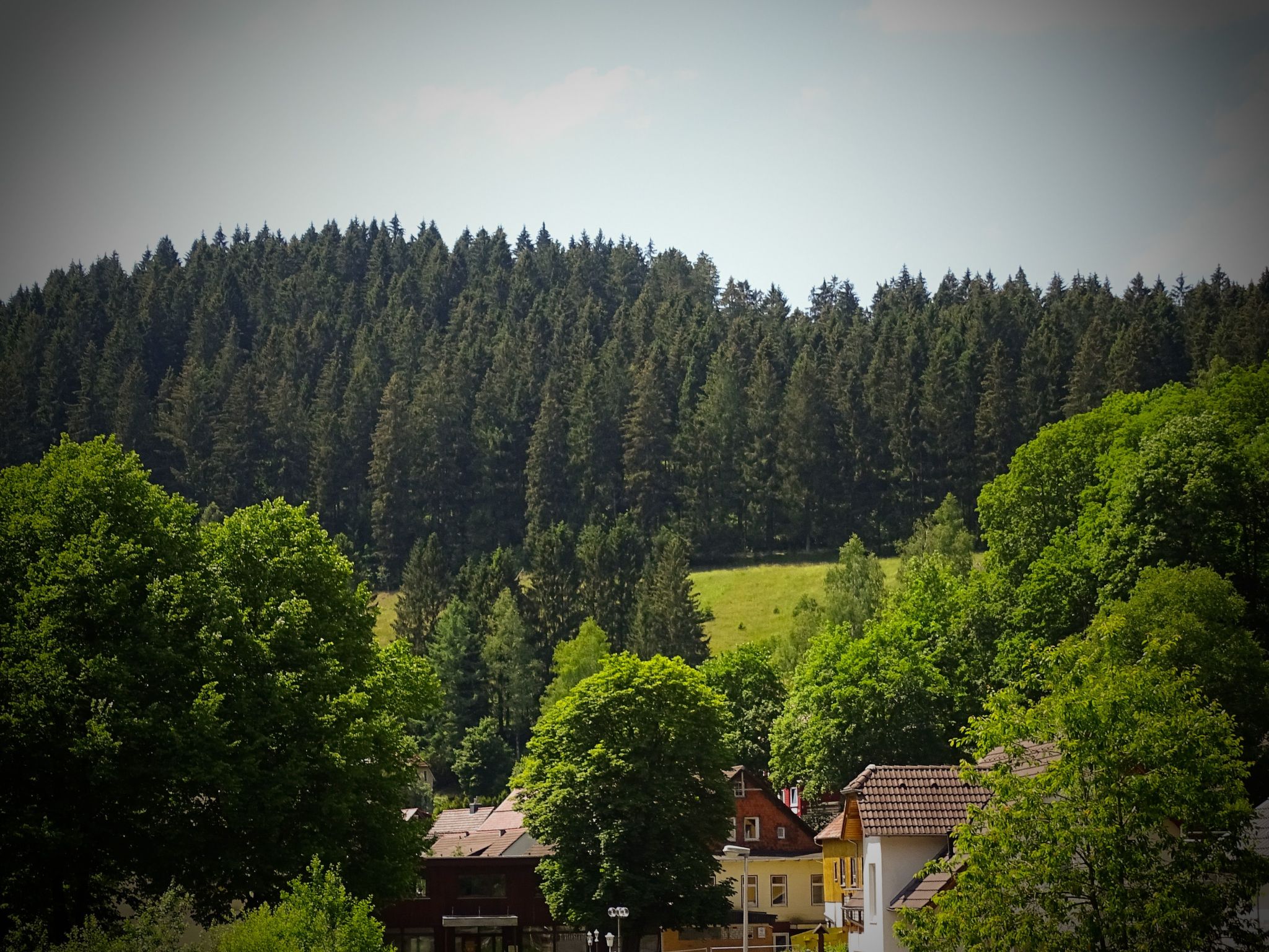 In Wildemann mit Terrasse-Drinnen
