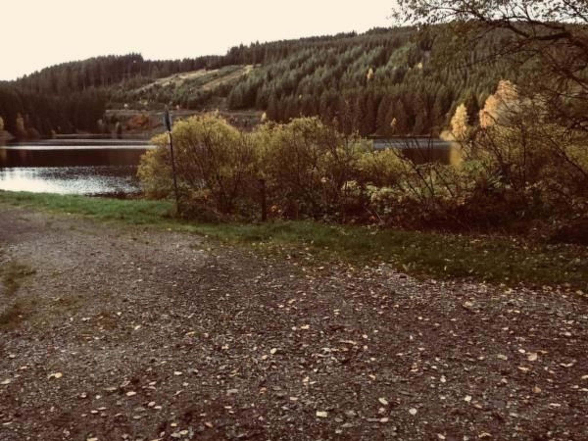 Feriendomizil Adler-Drinnen