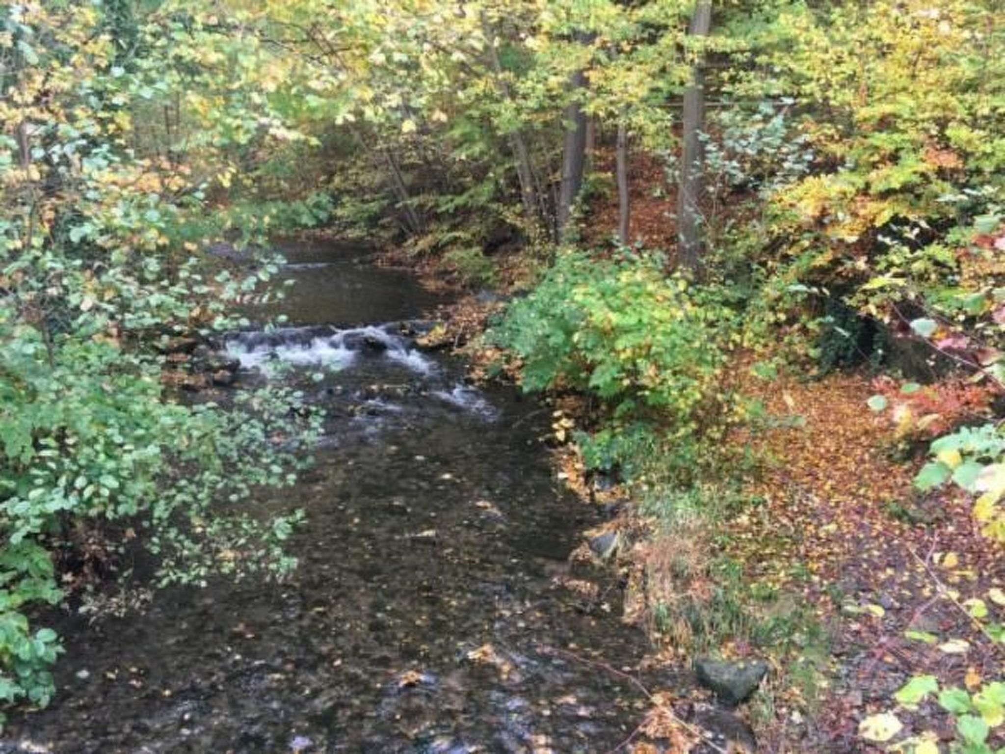 Feriendomizil Adler-Drinnen
