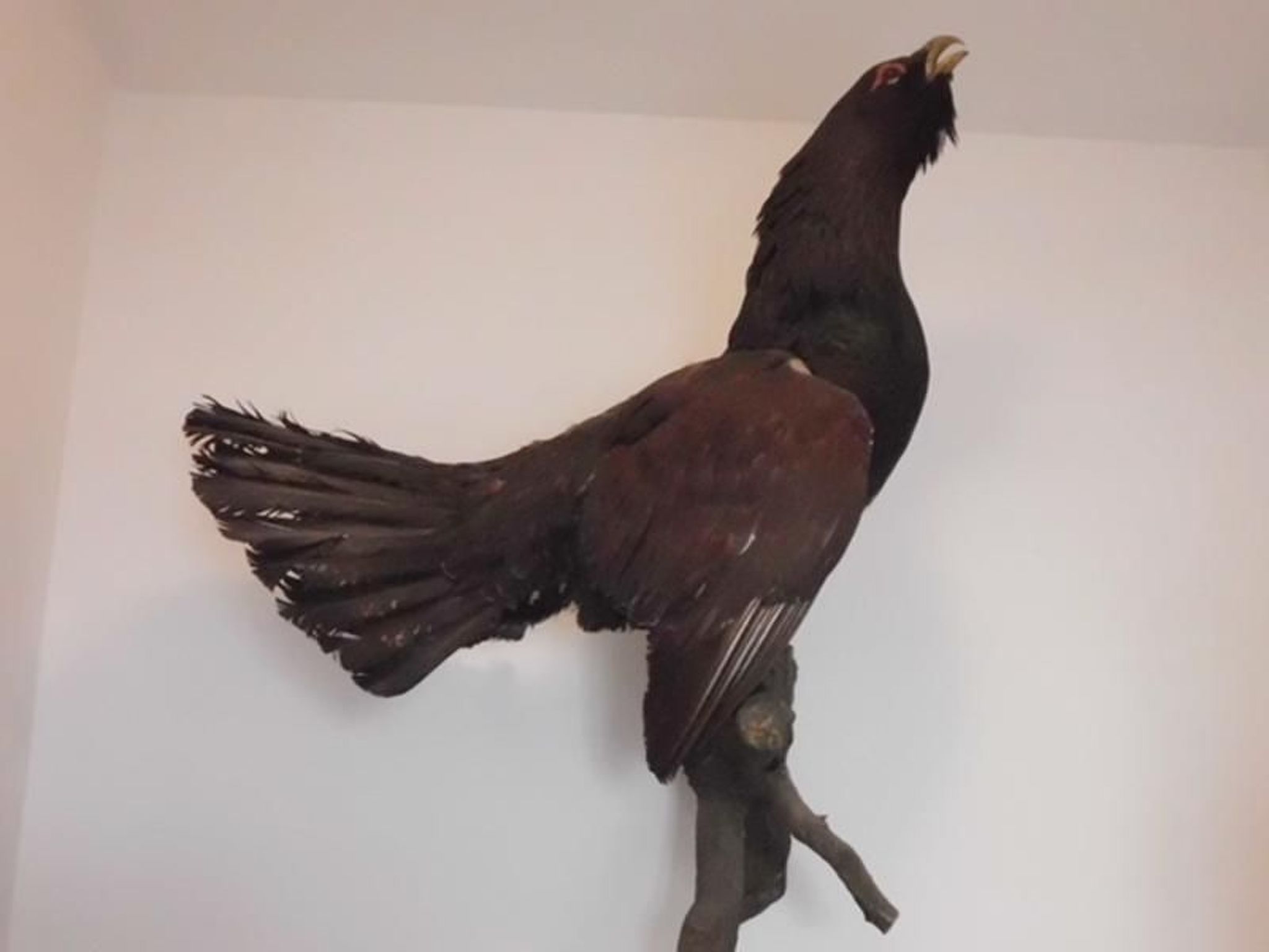 Großzügige Wohnung mit Bergblick im Haus Hopfe-Drinnen