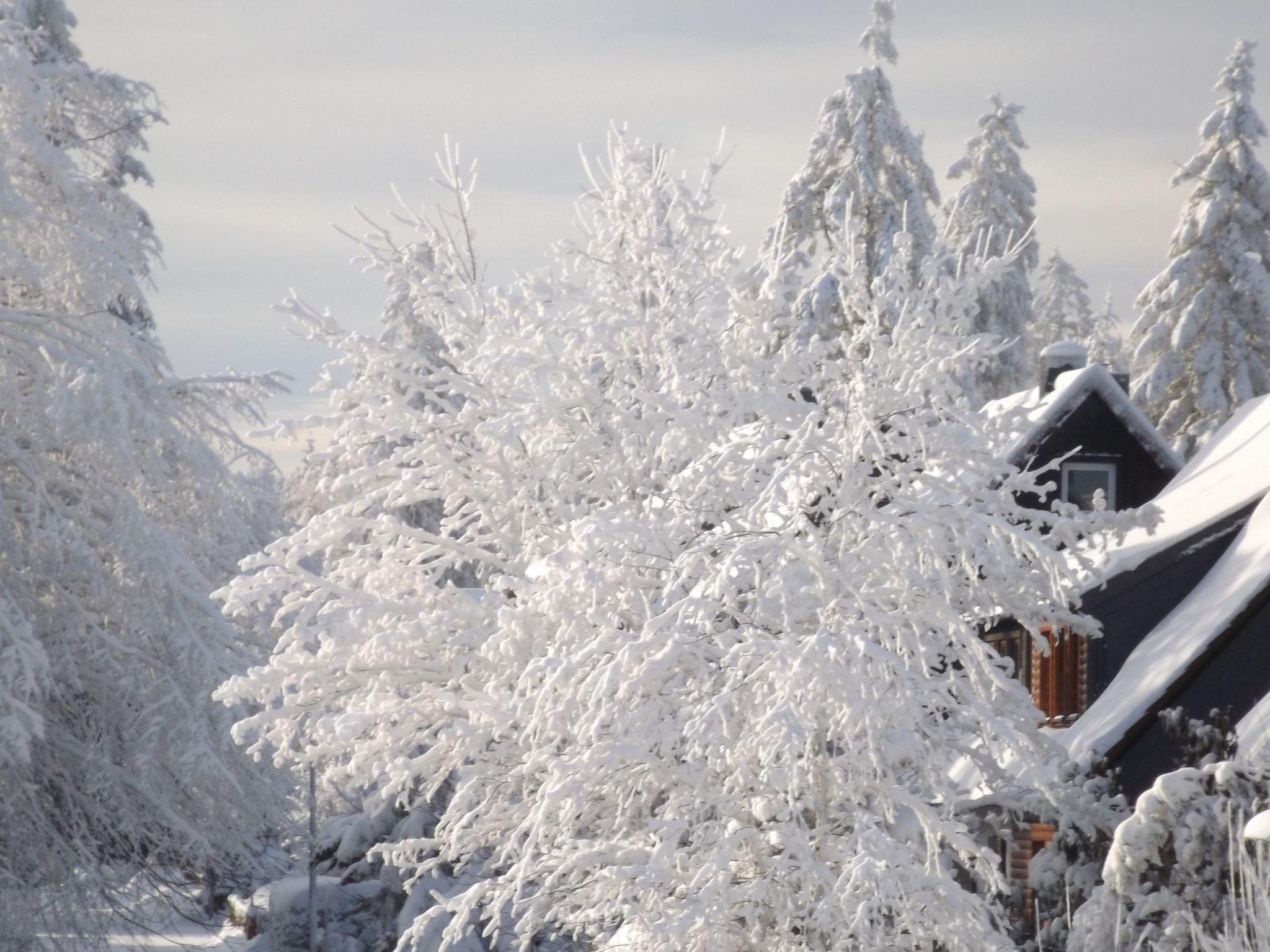 Großzügige Wohnung mit Bergblick im Haus Hopfe-Drinnen