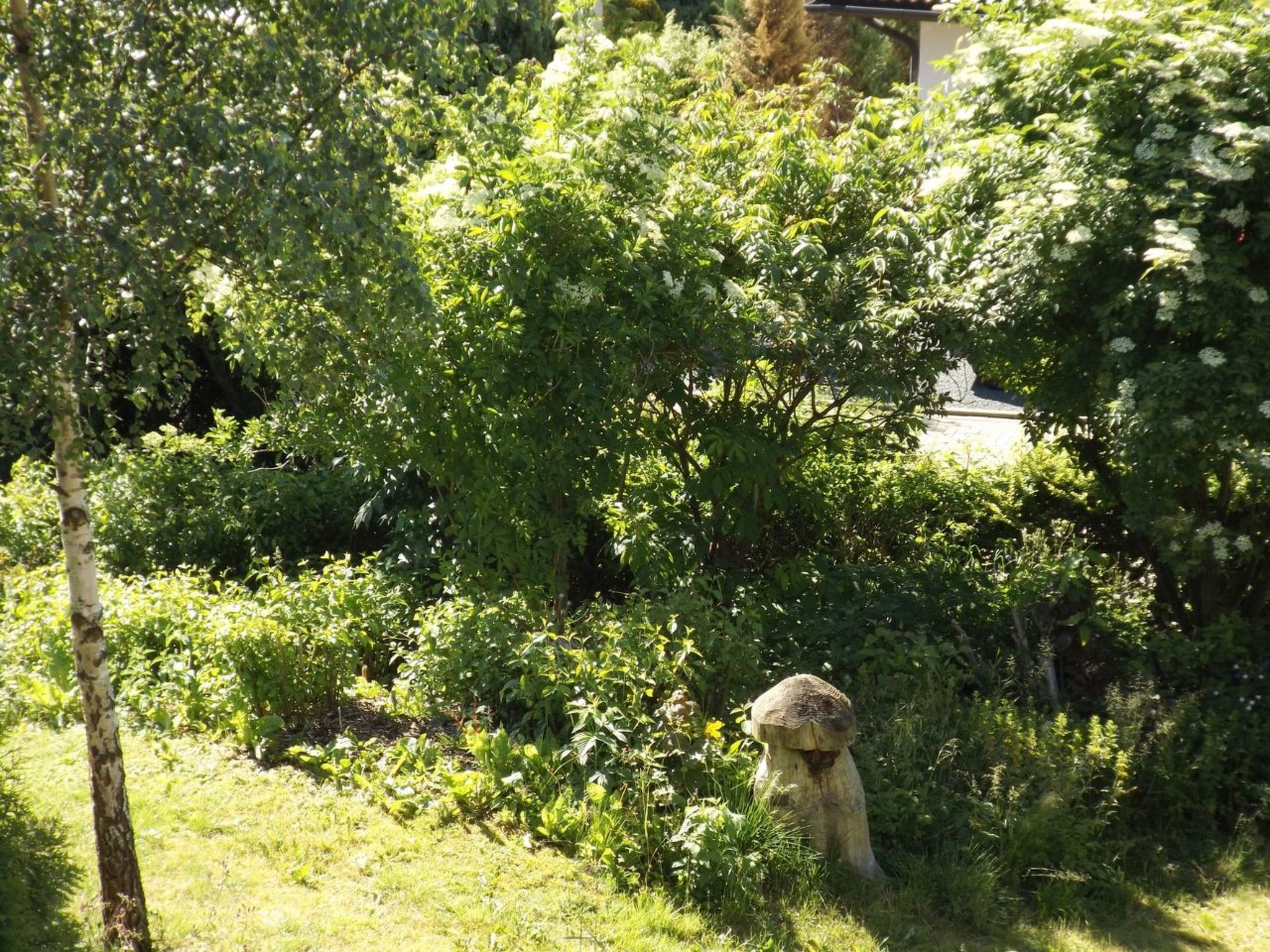 Großzügige Wohnung mit Bergblick im Haus Hopfe-Drinnen