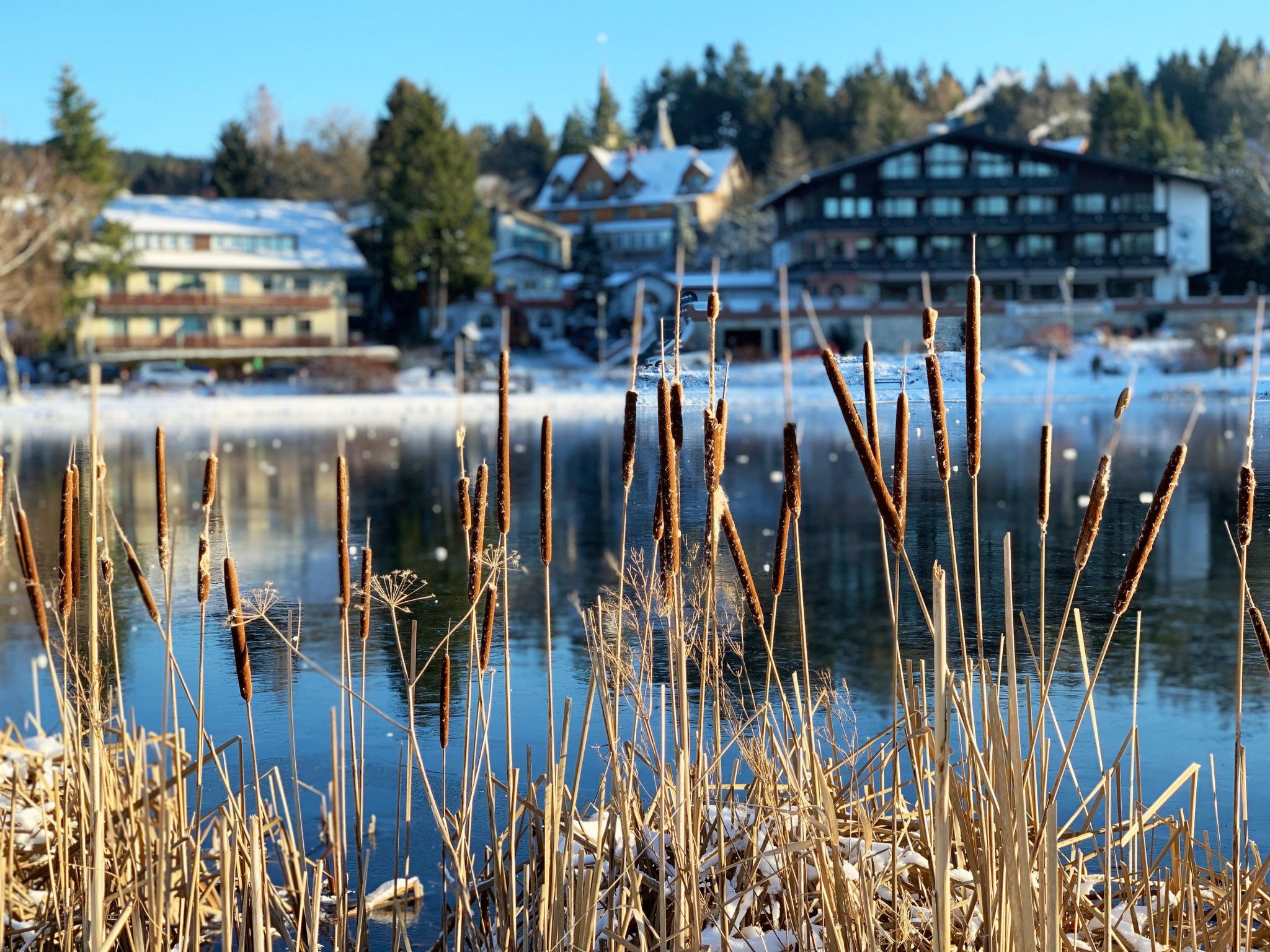 Luxusferienwohnung mit Infrarotwärmekabine