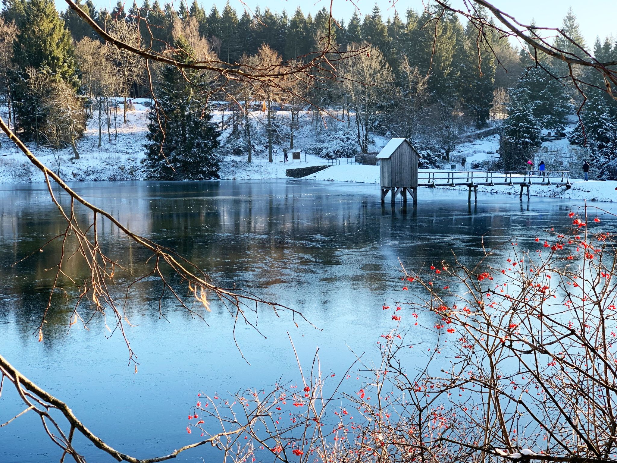 Luxusferienwohnung mit Infrarotwärmekabine
