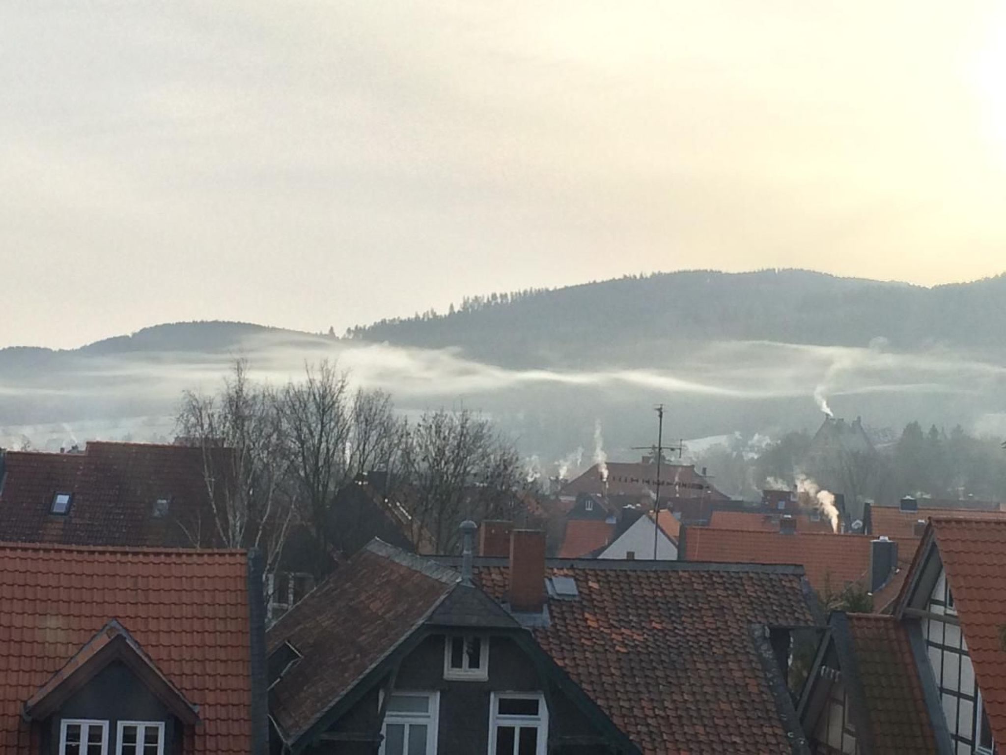 Panoramablick in Goslar-Binnen