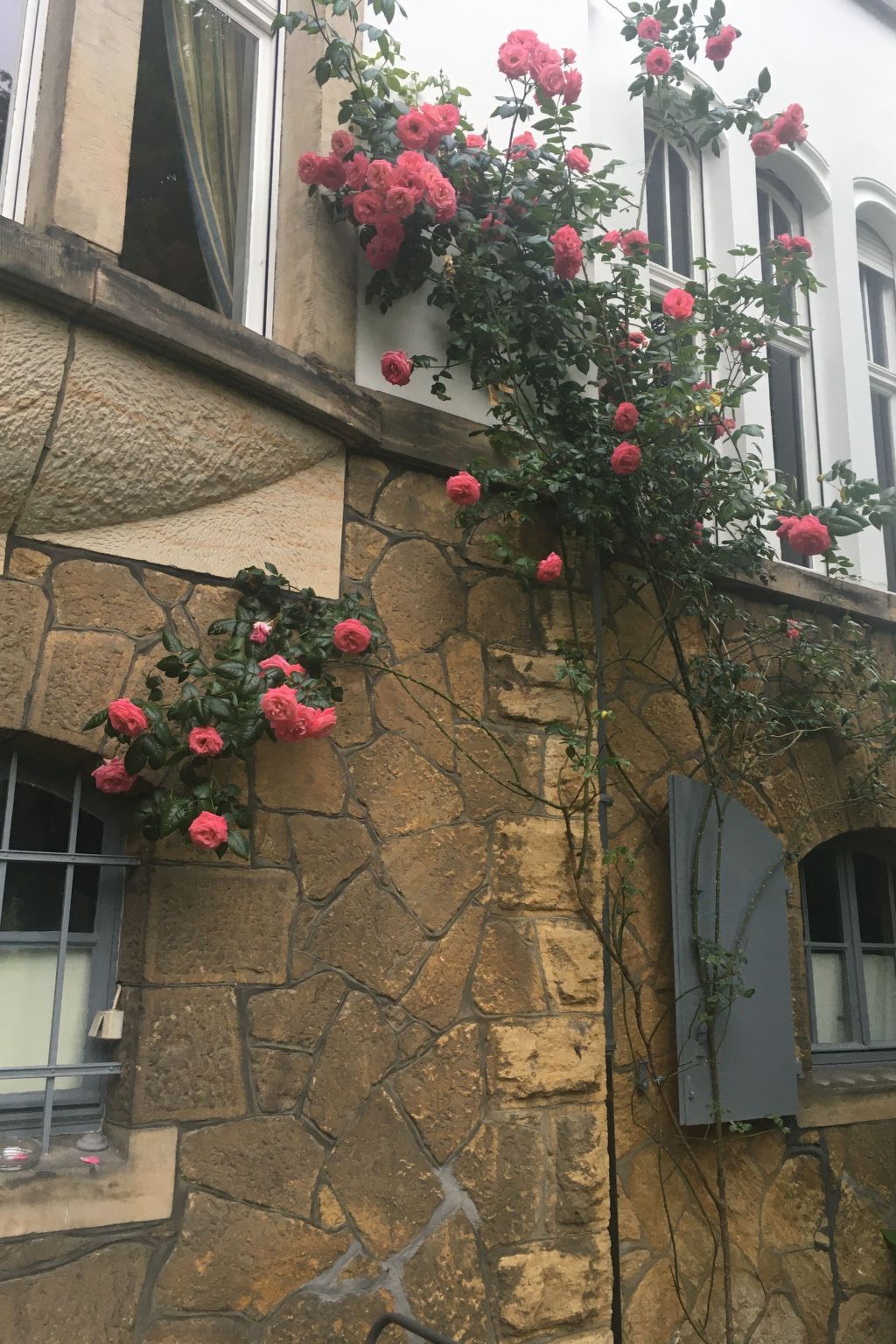 Altstadtnahe Wohnung Villa Harmening in Goslar