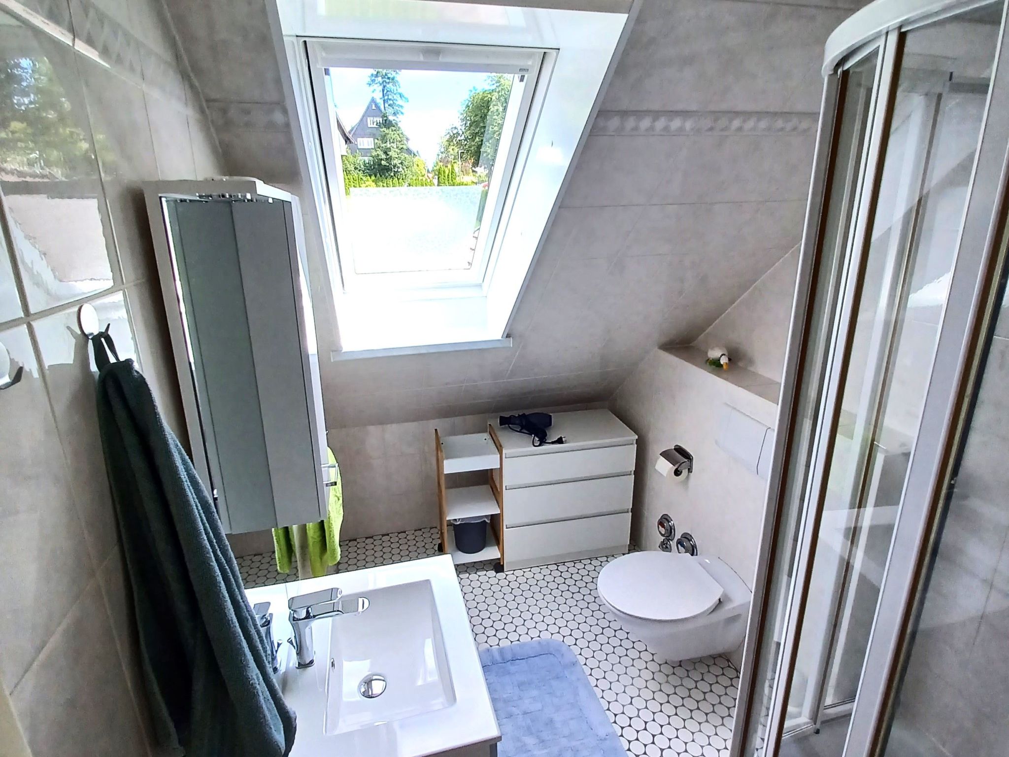 Walli OG Hahnenklee-Drinnen