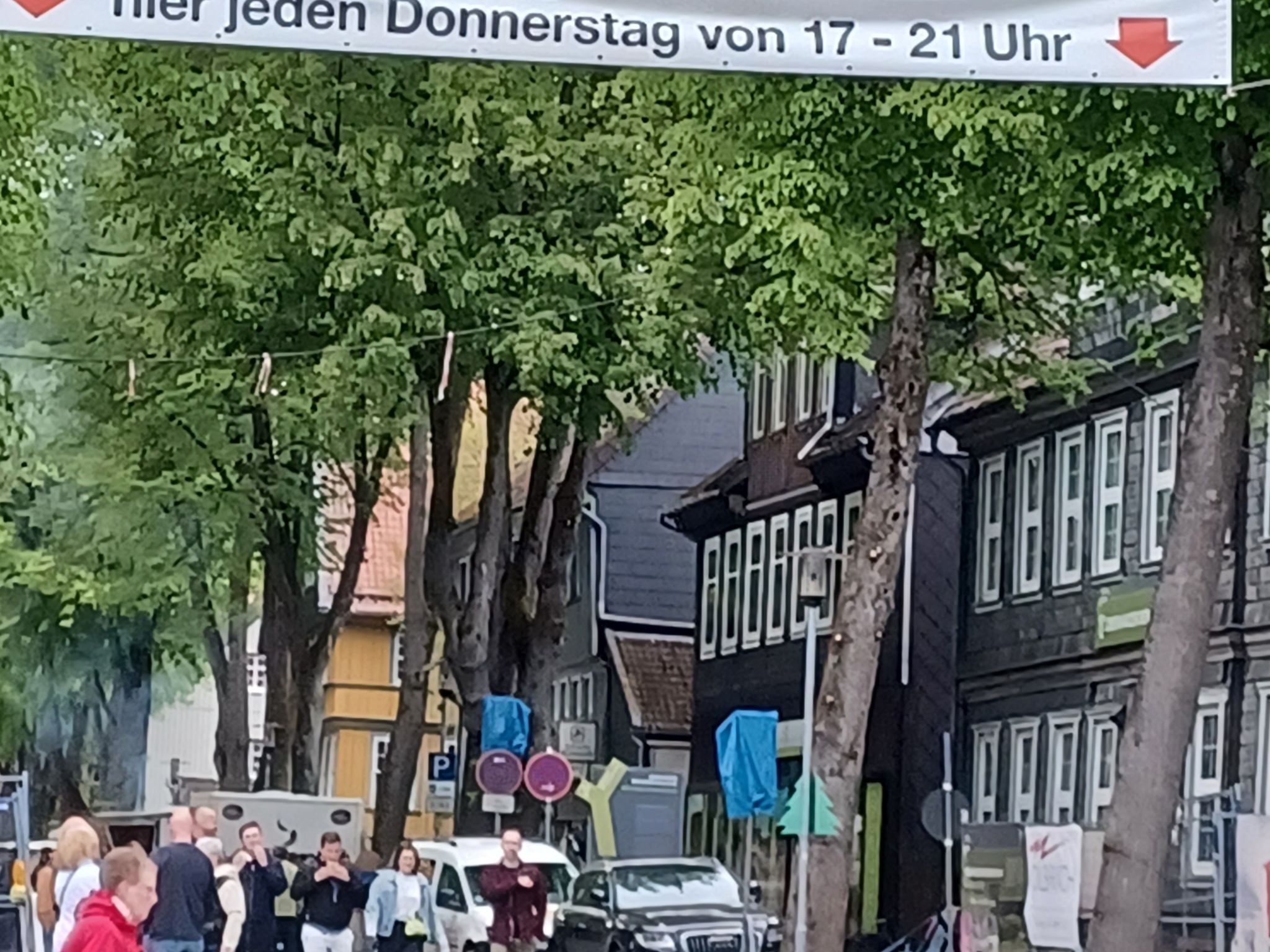 Walli OG Hahnenklee-Drinnen