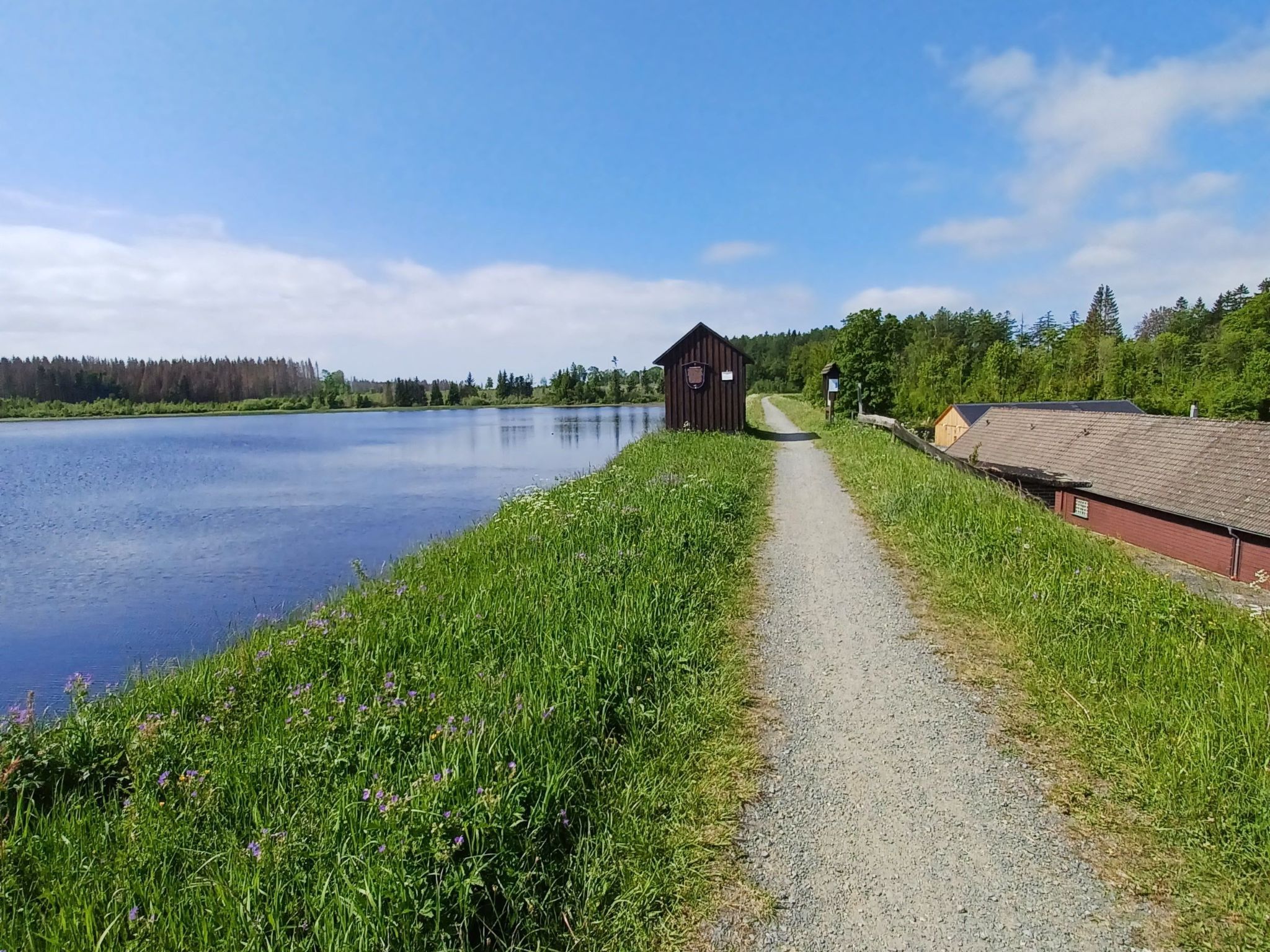 Walli OG Hahnenklee-Drinnen