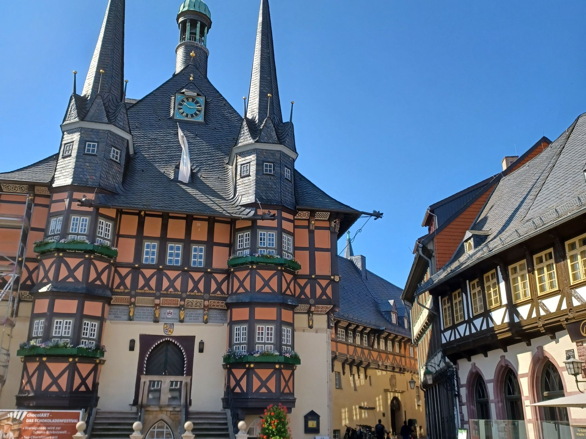 Walli OG Hahnenklee-Drinnen