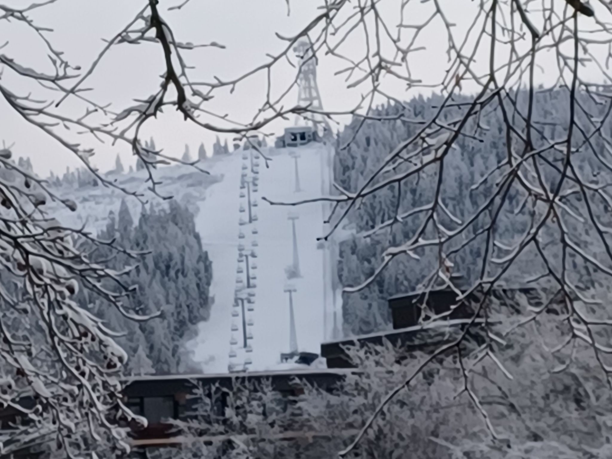Walli OG Hahnenklee-Drinnen
