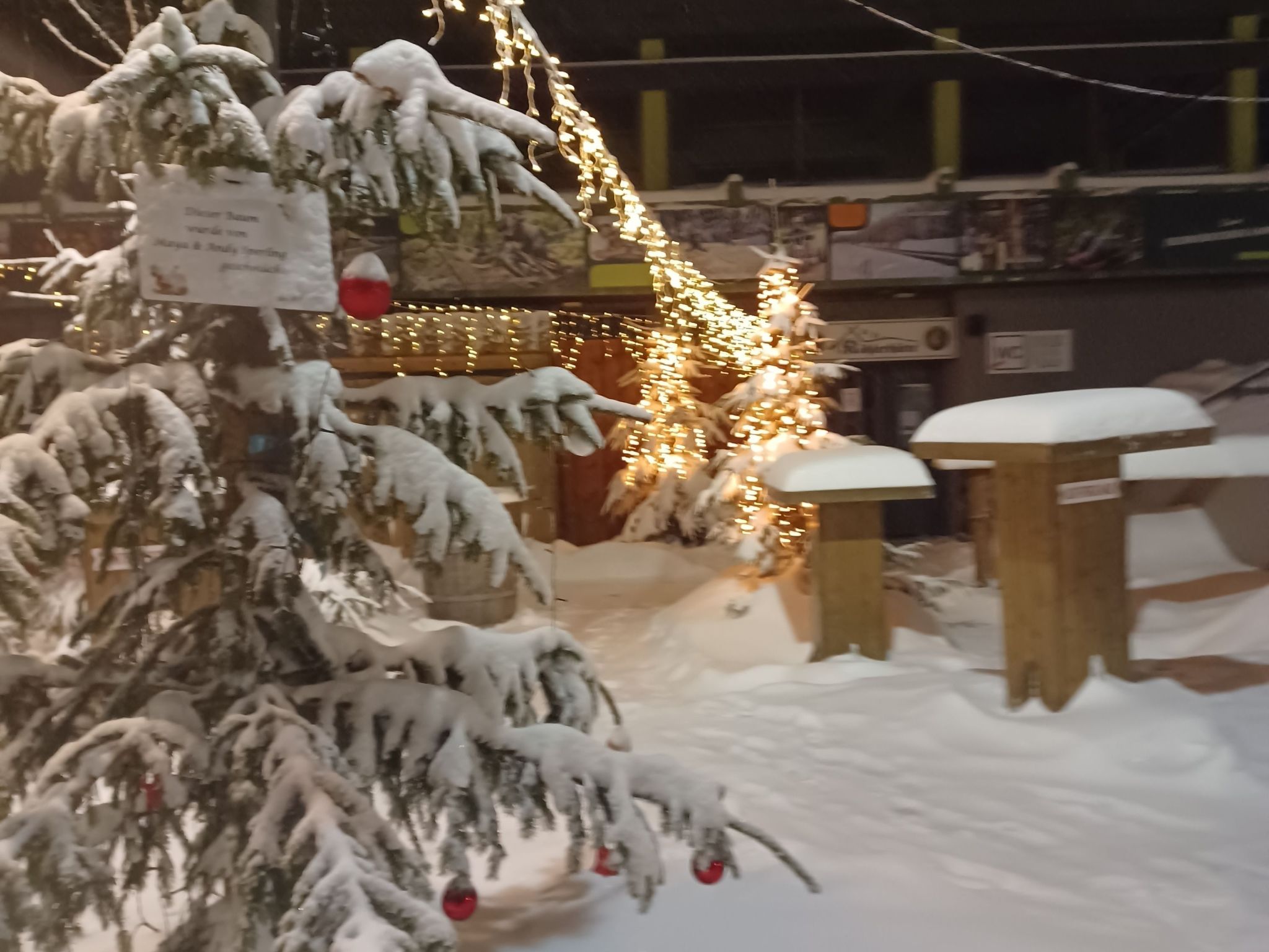 Walli OG Hahnenklee-Drinnen