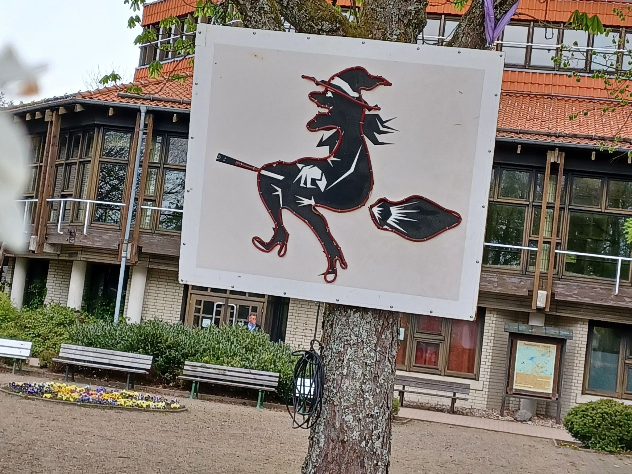 Walli OG Hahnenklee-Drinnen