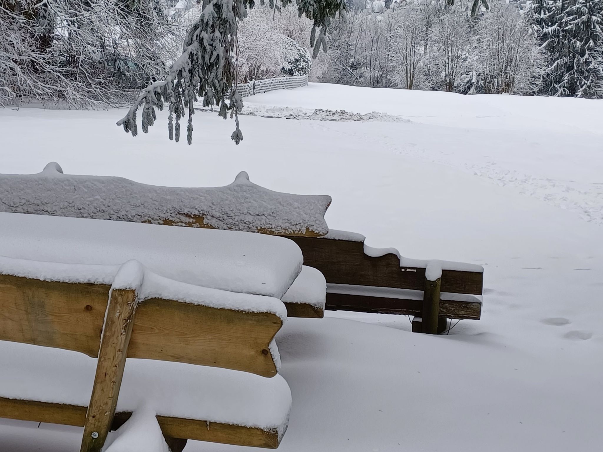 Burgi EG Hahnenklee-Drinnen