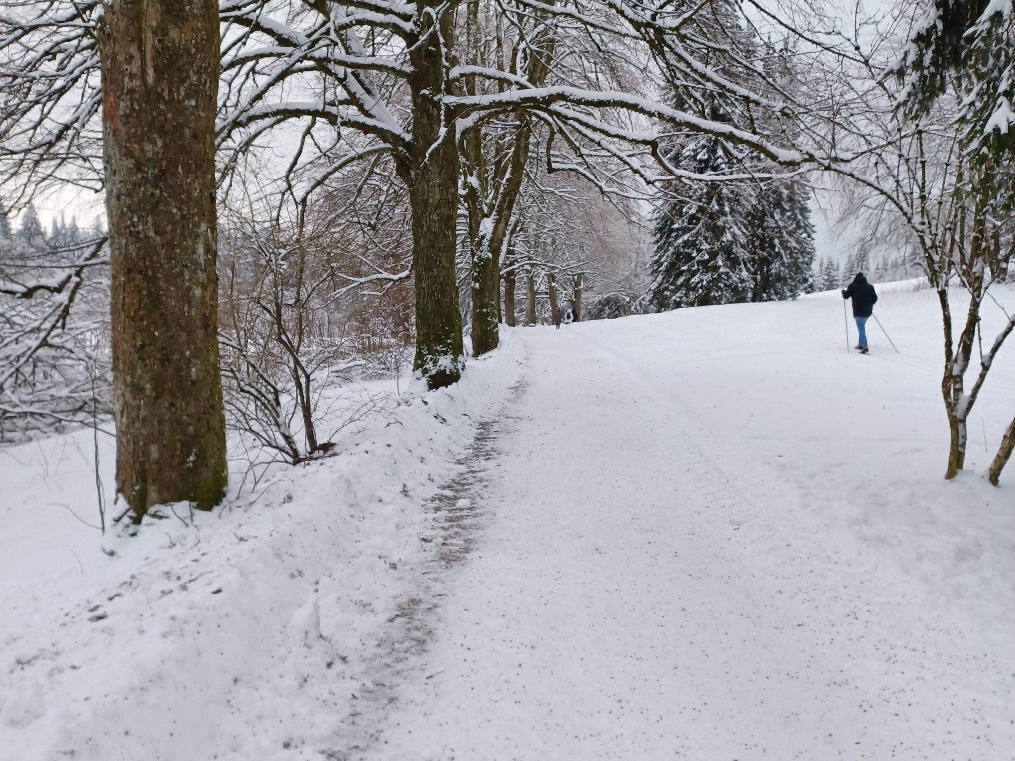 Burgi EG Hahnenklee-Drinnen