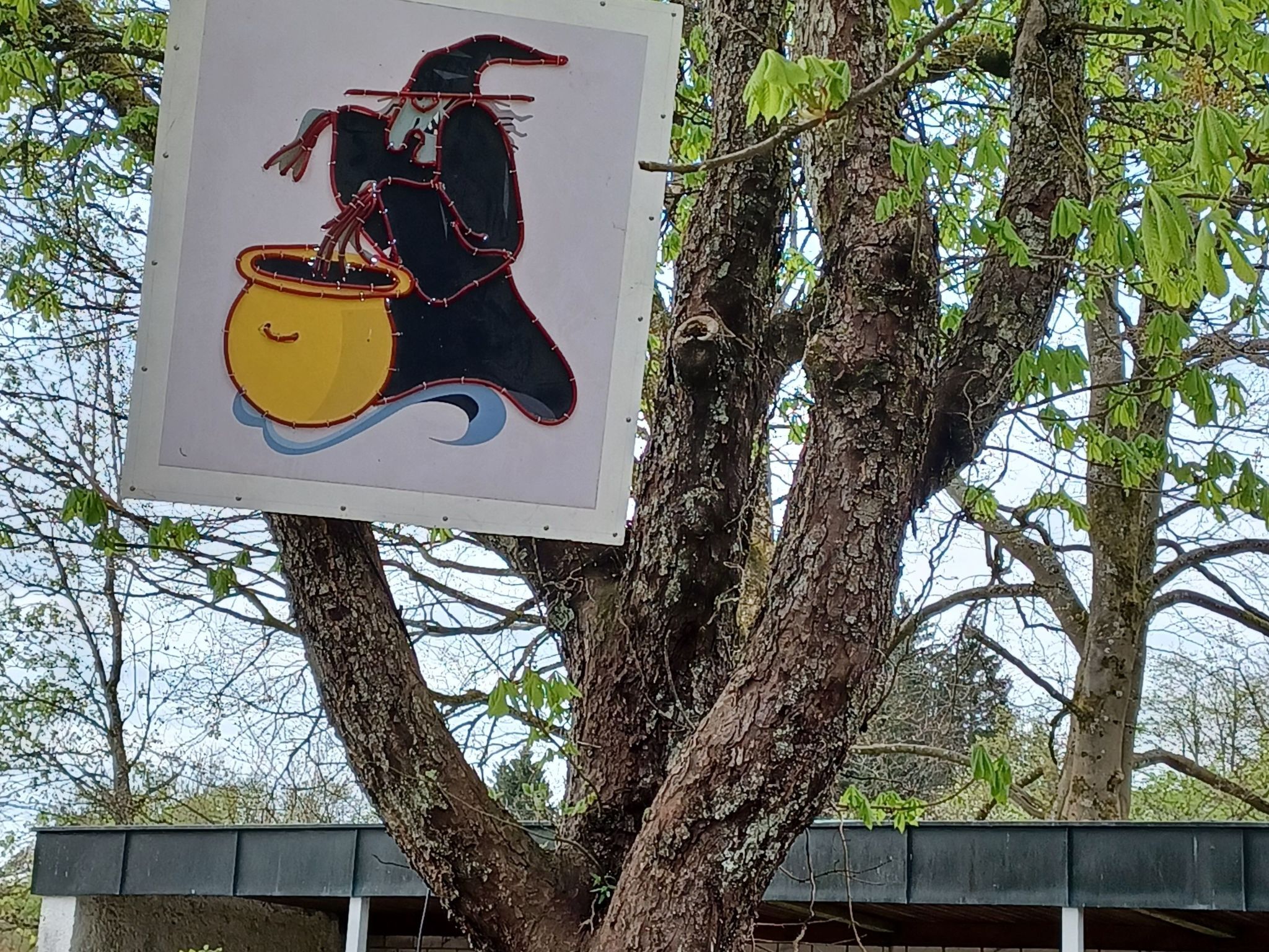 Burgi EG Hahnenklee-Drinnen