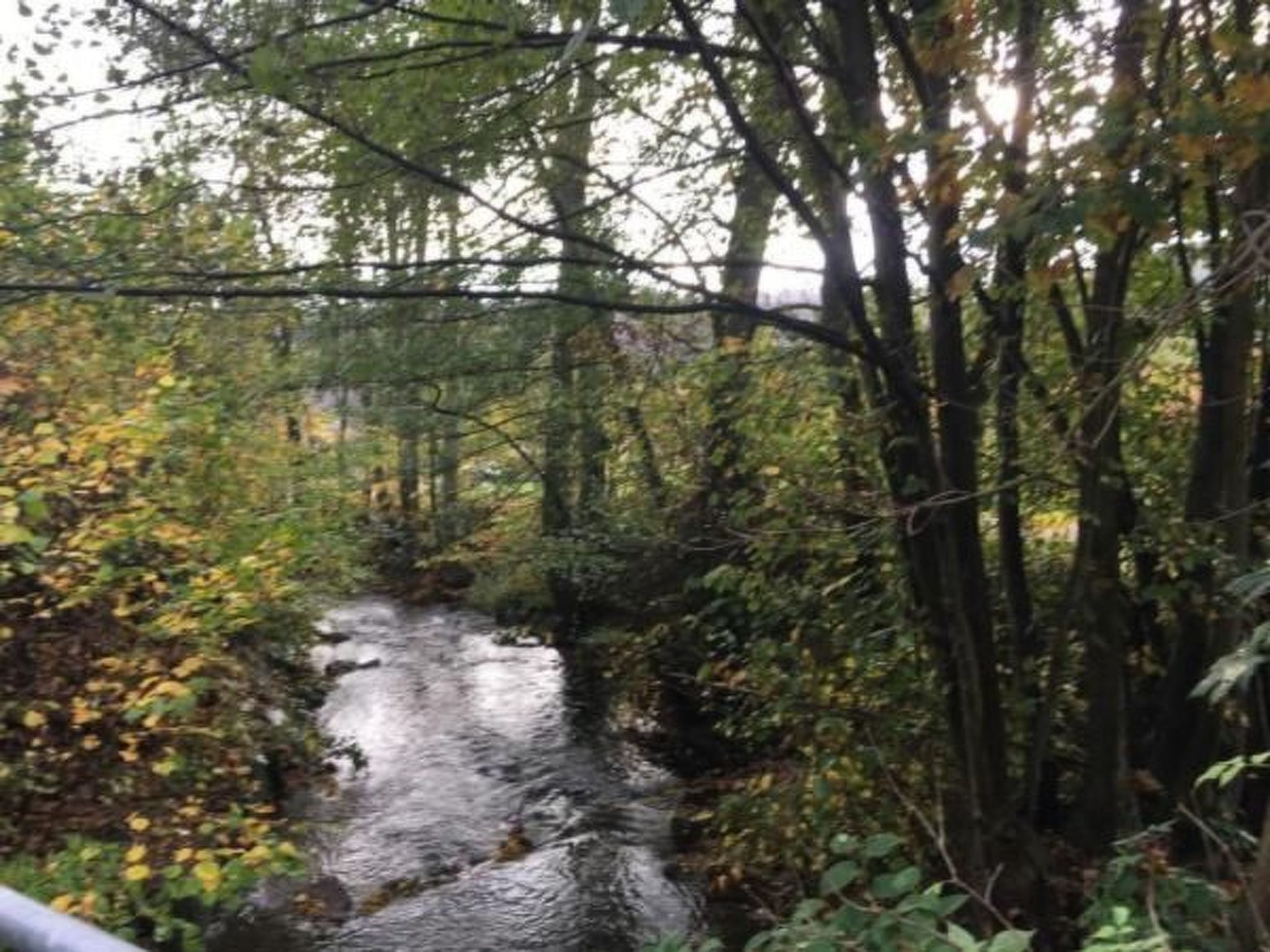 Ferienapartm. Adler-Drinnen