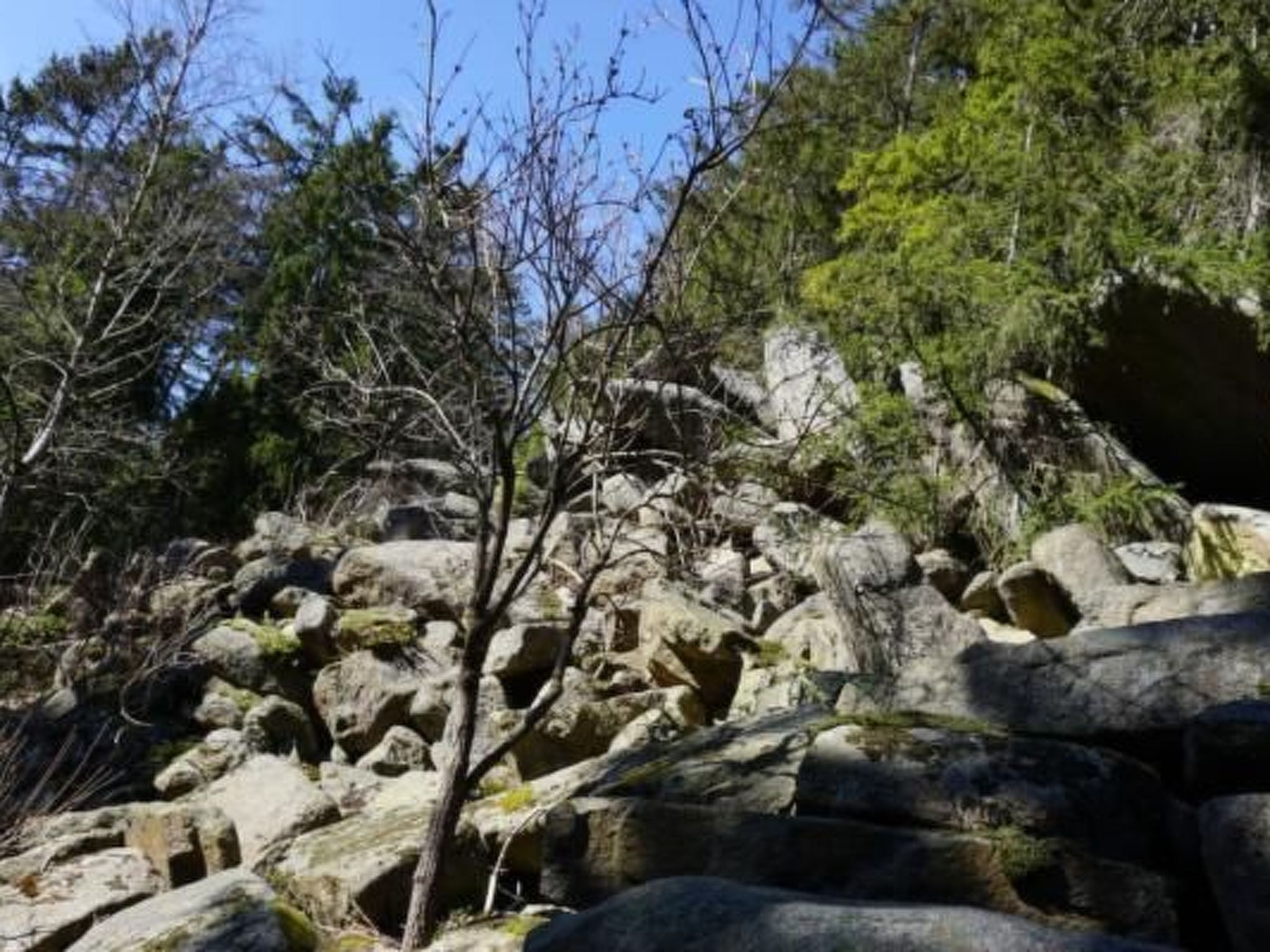Feriendomizil Adler-Drinnen