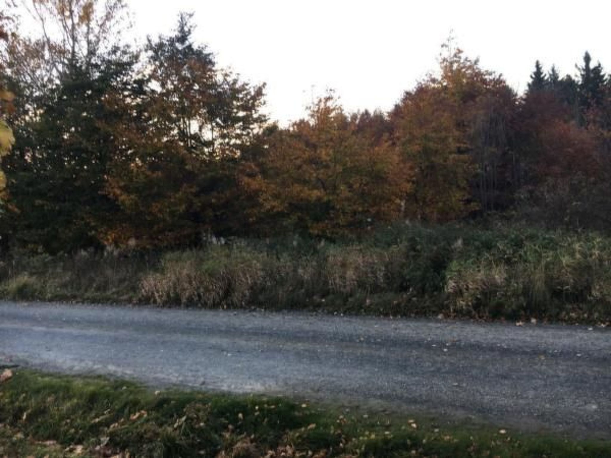 Feriendomizil Adler-Drinnen