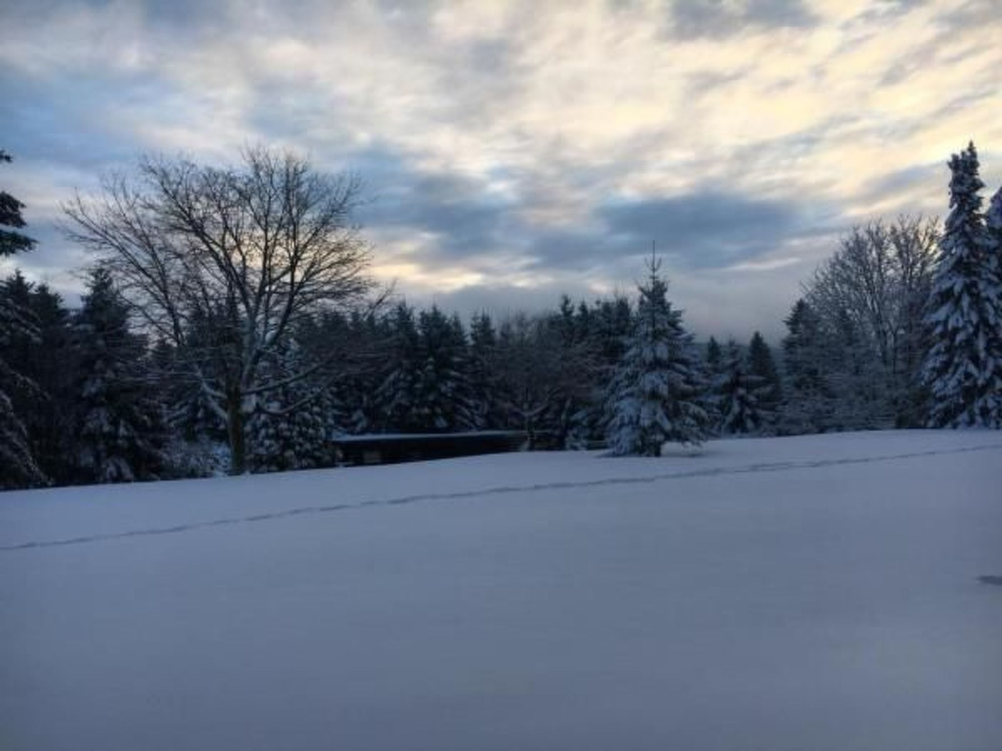 Feriendomizil Adler-Drinnen