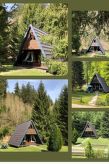 Vrijstaand vakantiehuis met tuin en bergzicht in Lautenthal, Harz - thumbnail 1