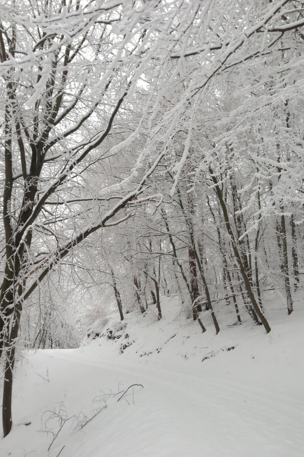 Mit Terrasse-Image-tags.info