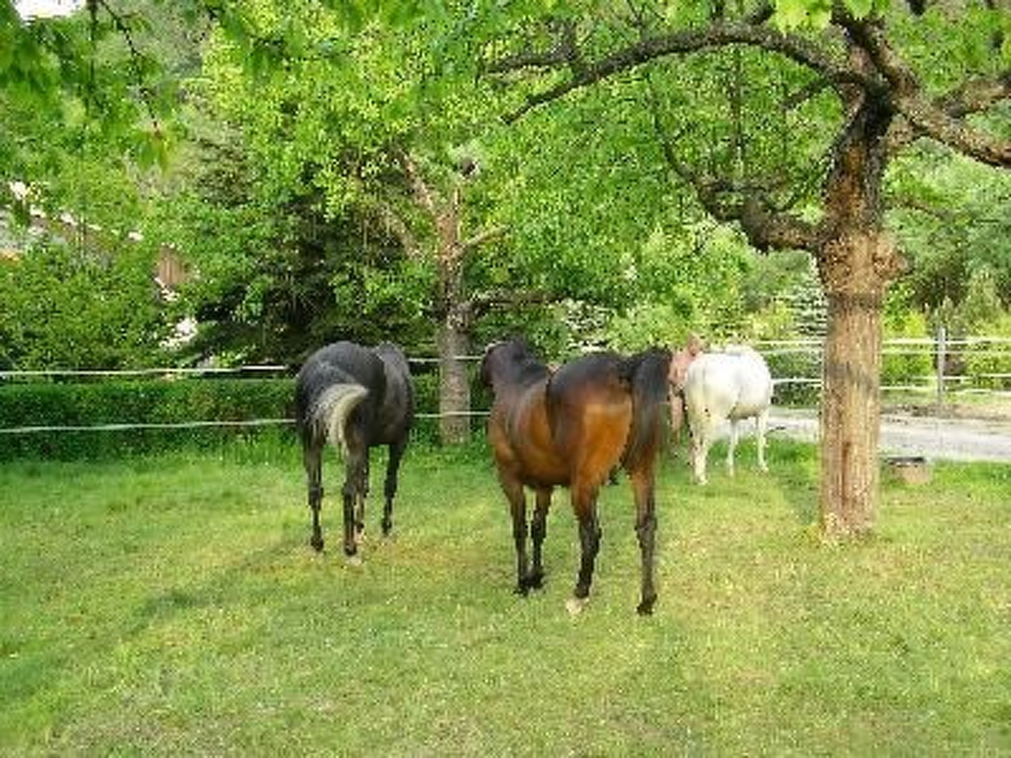 Silberbach II-Binnen