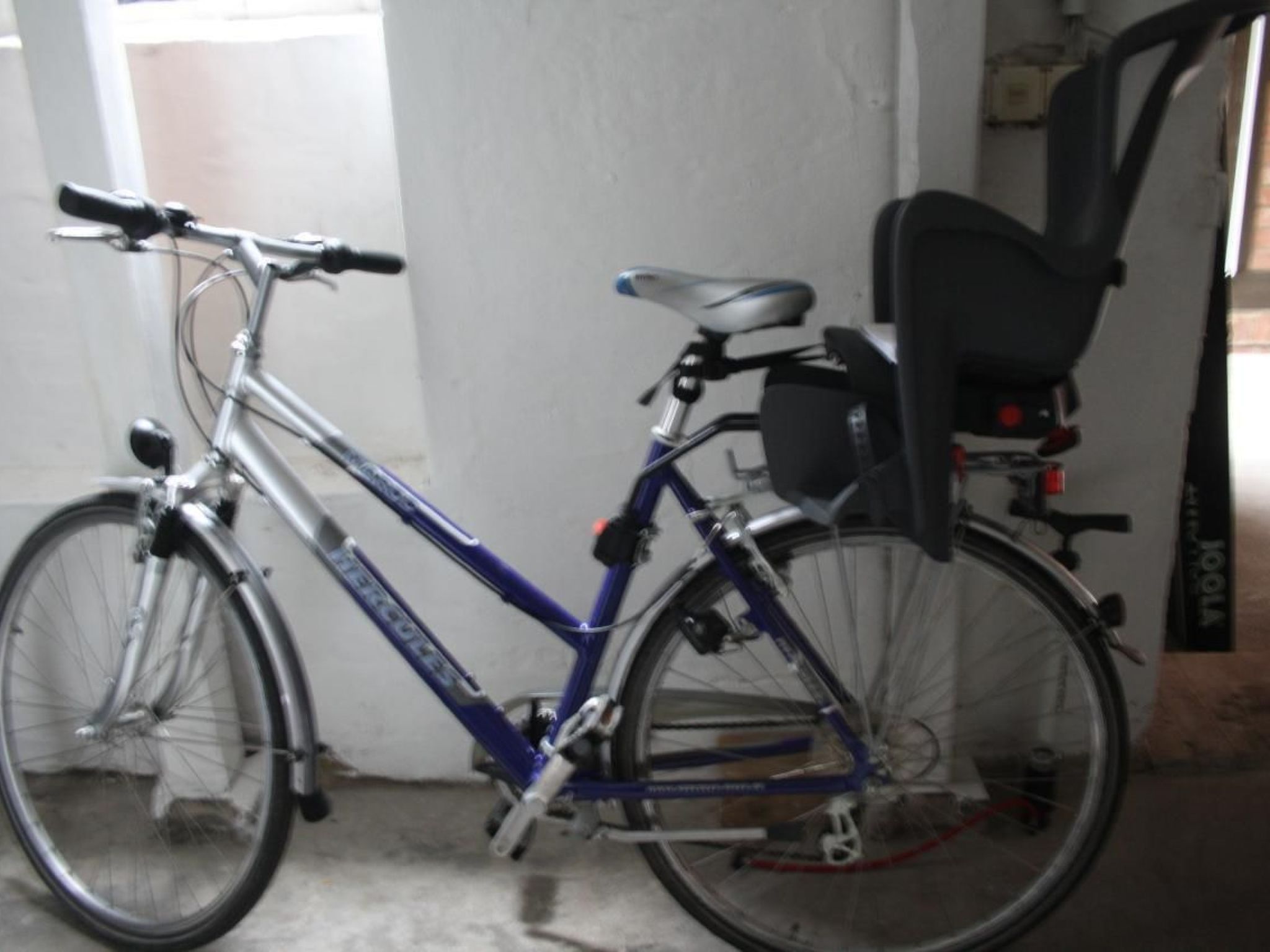 Gemütliche Wohnung in Wernigerode mit Garten und Grill-Image-tags.info