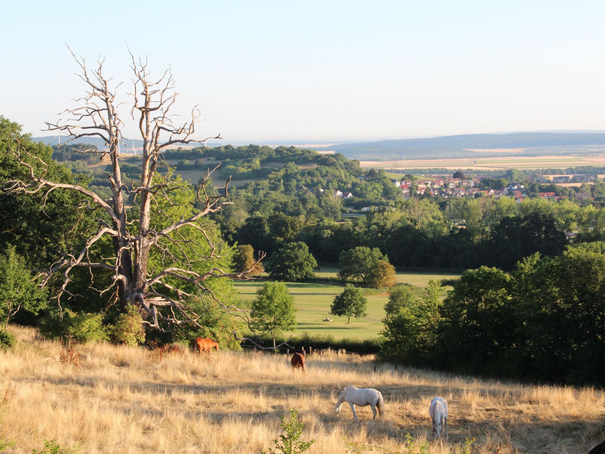 Villa Silberborn A10-Dedans